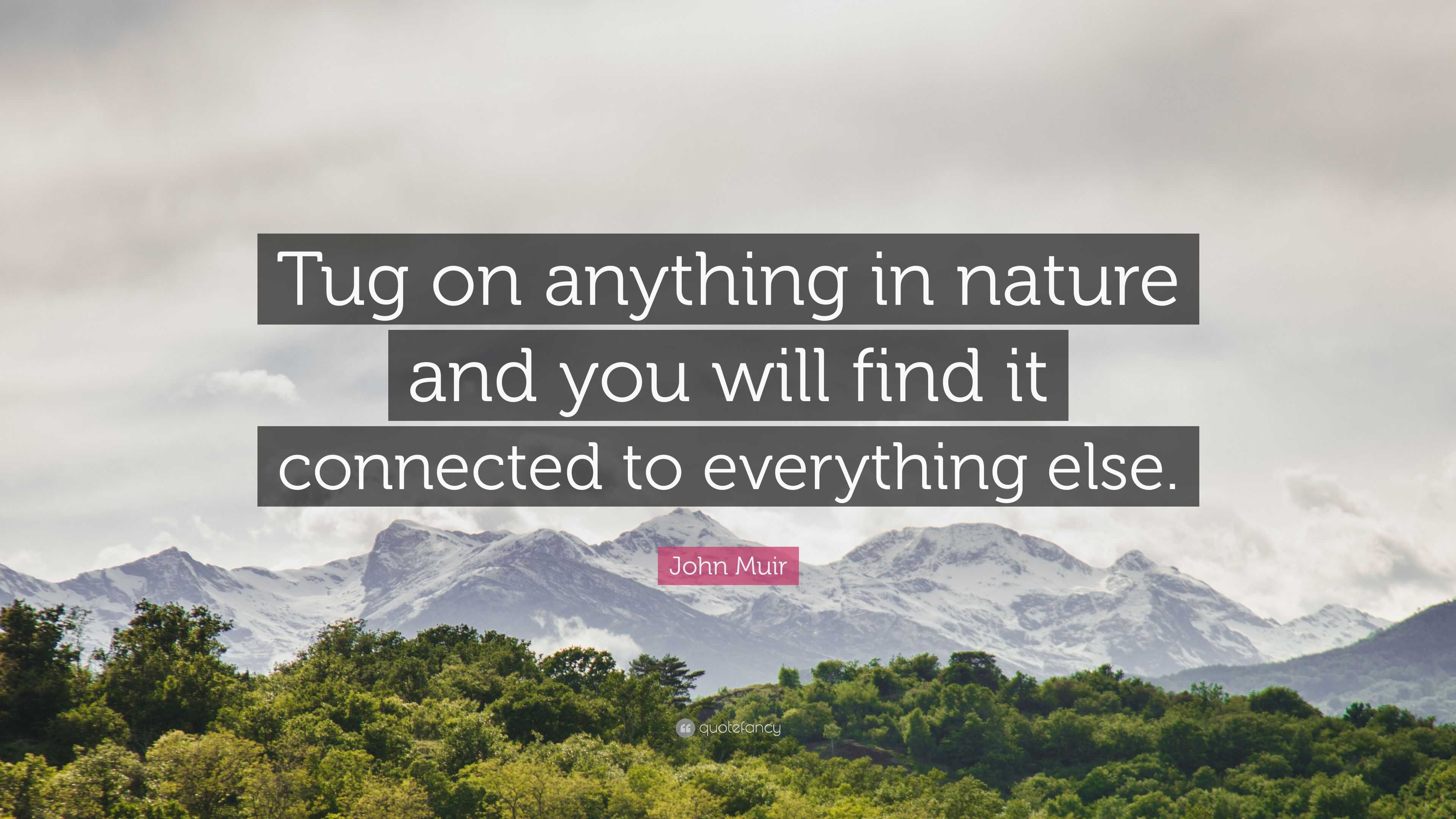 John Muir Quote: “Tug on anything in nature and you will find it connected to everything