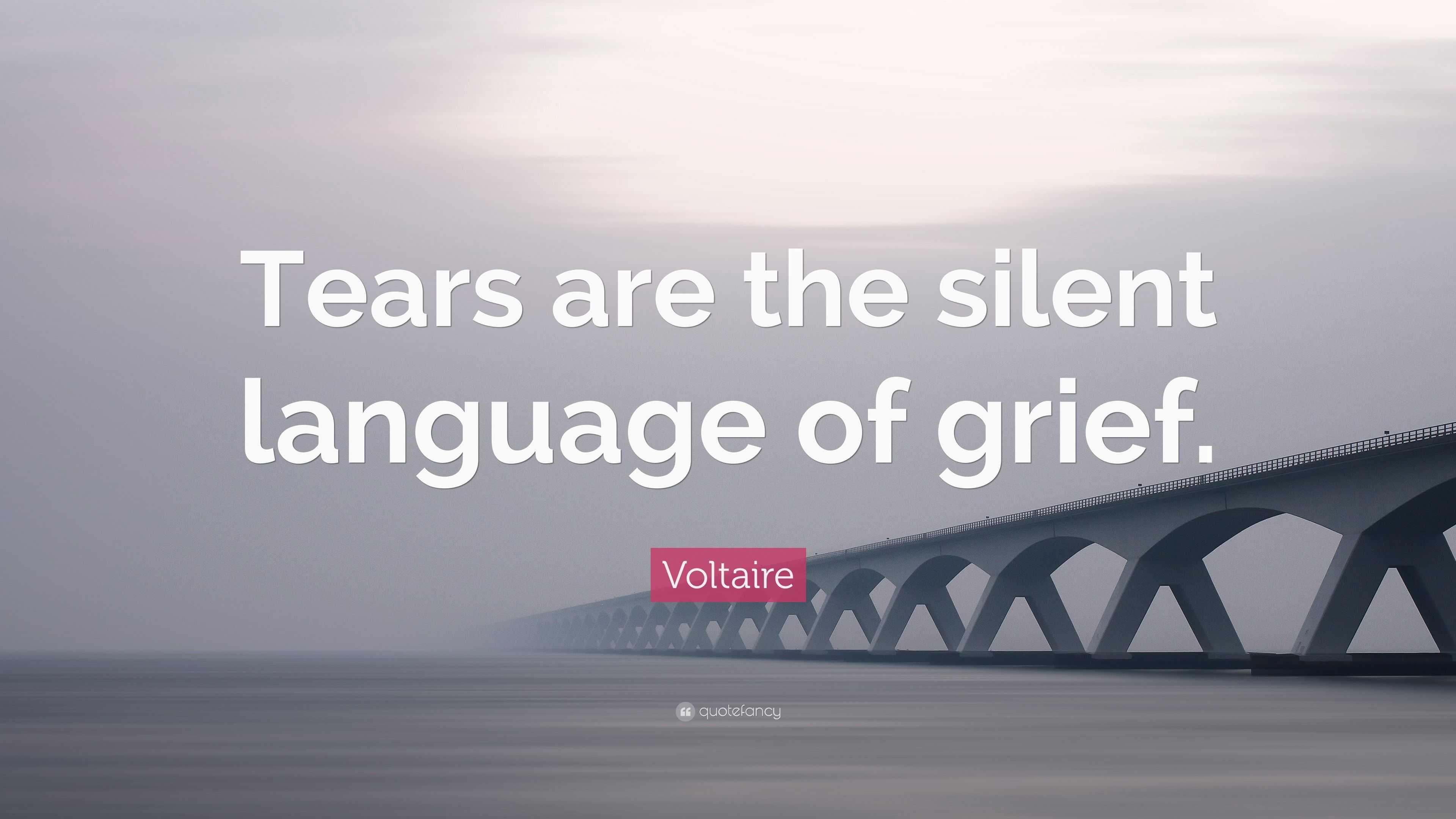 Voltaire Quote: “Tears are the silent language of grief.”