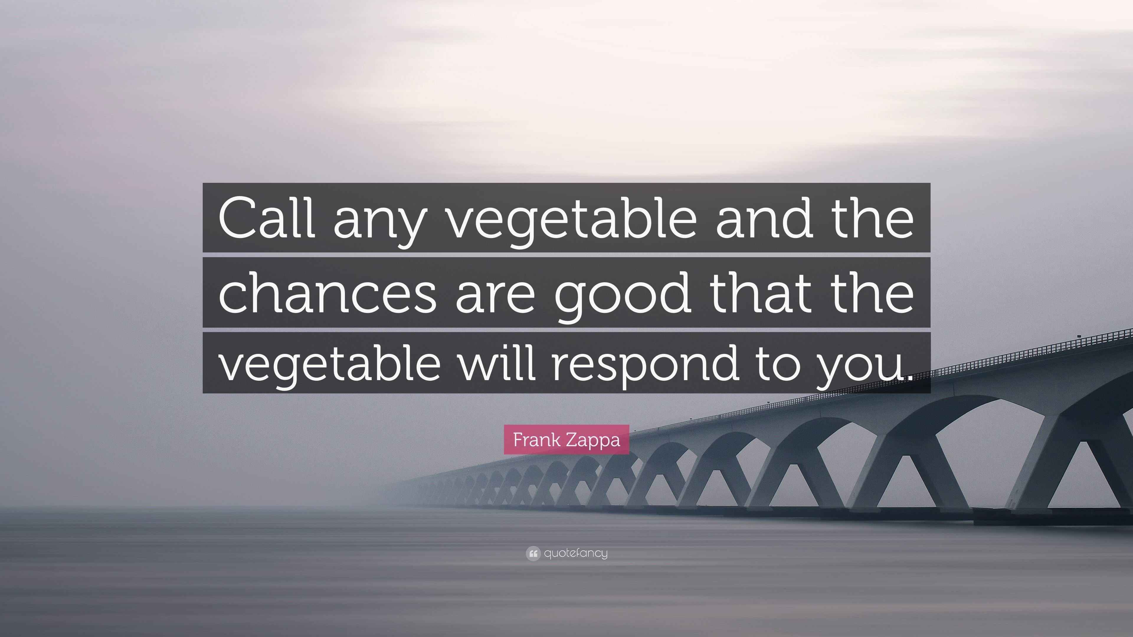 Frank Zappa Quote “Call any vegetable and the chances are good that