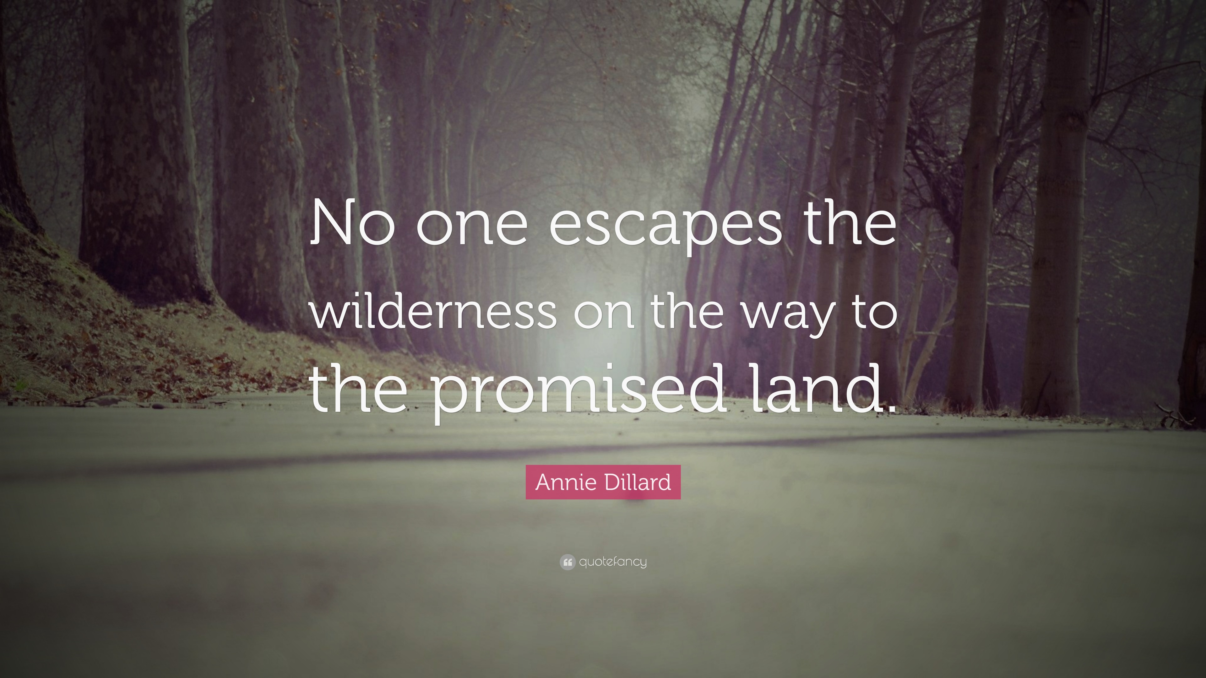 Annie Dillard Quote No One Escapes The Wilderness On The Way To The Annie Dillard Quote No One Escapes The Wilderness On The Way To The