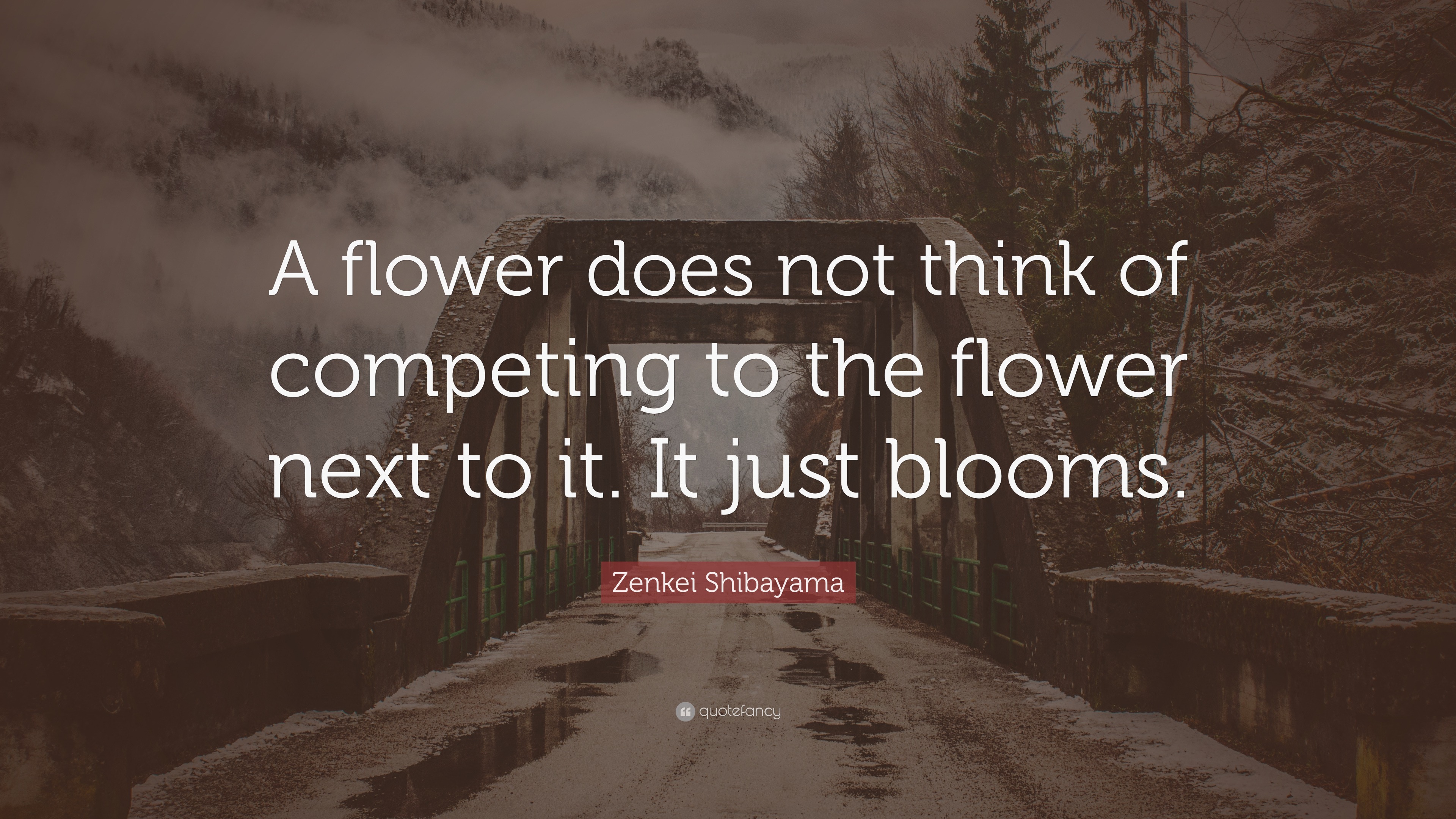 Zenkei Shibayama Quote “A flower does not think of competing to the