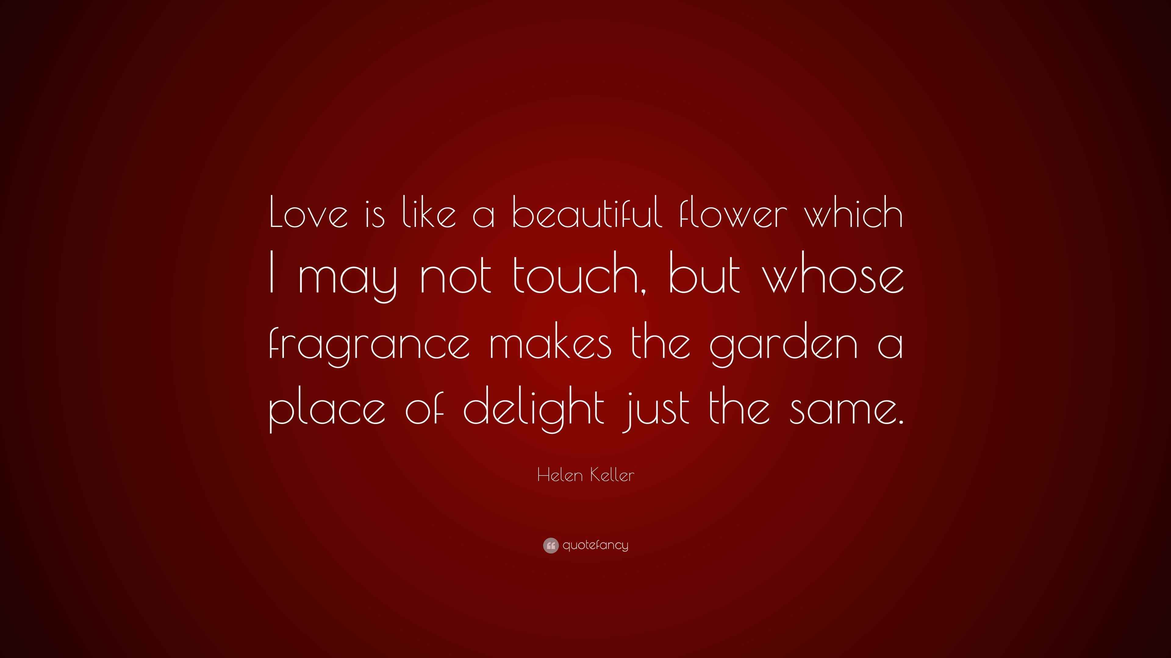 Helen Keller Quote “Love is like a beautiful flower which I may not