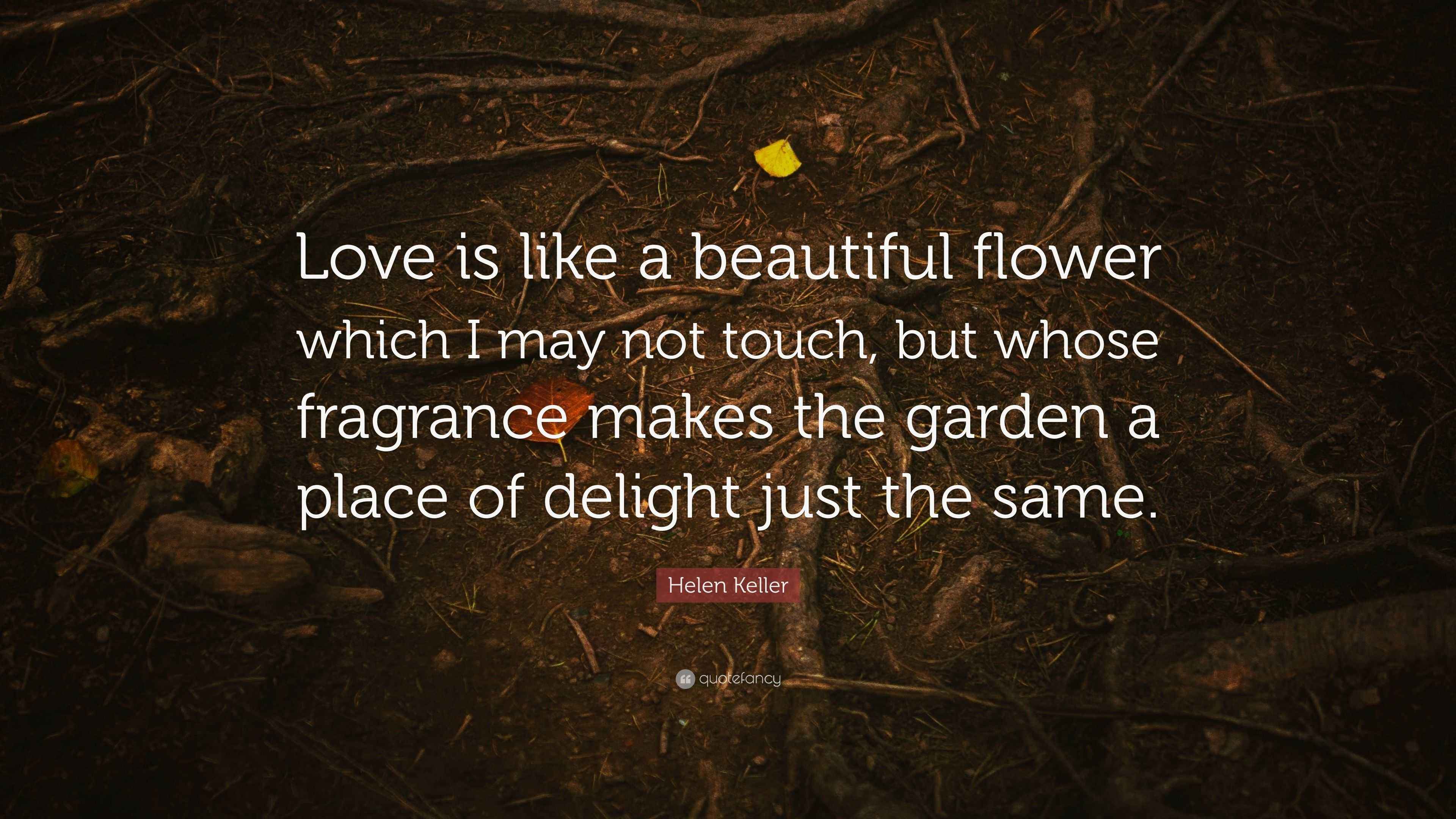 Helen Keller Quote “Love is like a beautiful flower which I may not
