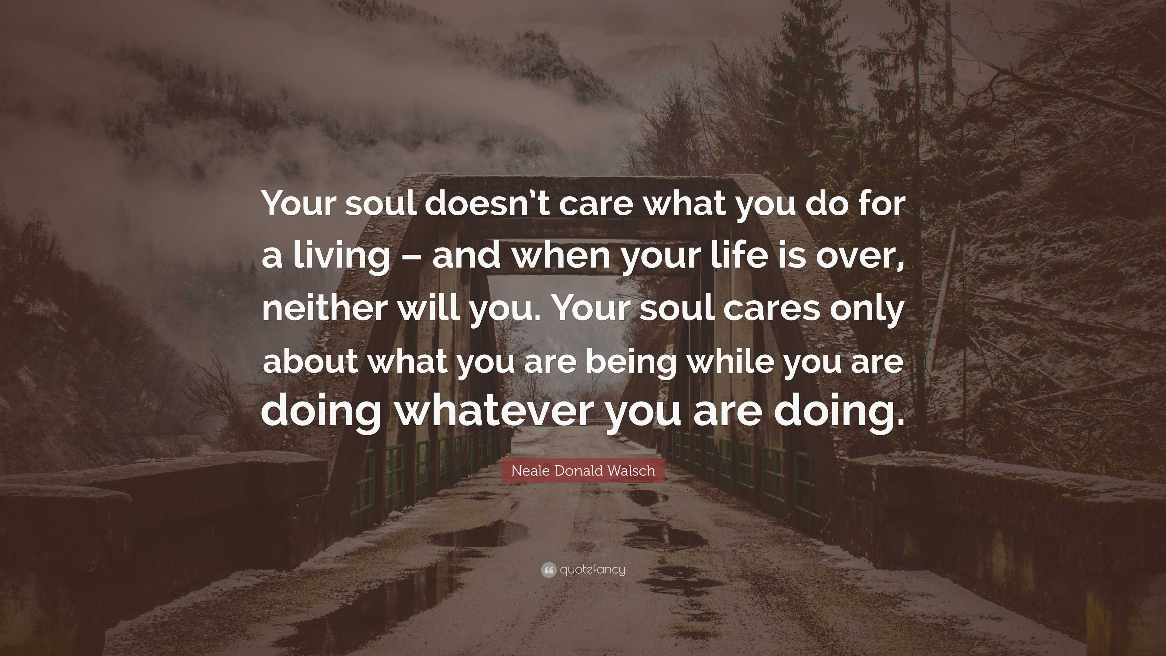Neale Donald Walsch Quote “Your soul doesn’t care what you do for a