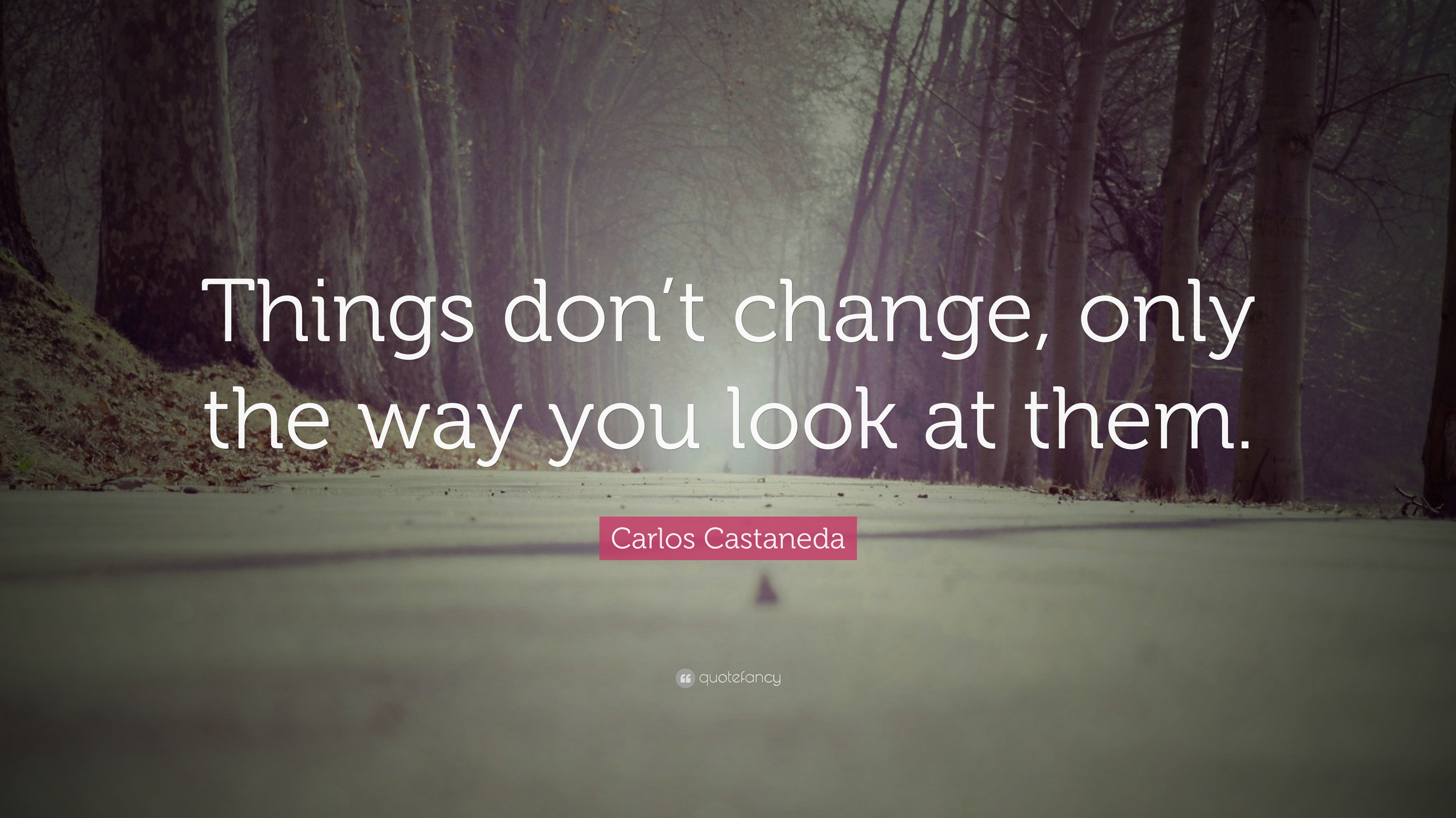 Carlos Castaneda Quote: “Things don’t change, only the way you look at ...