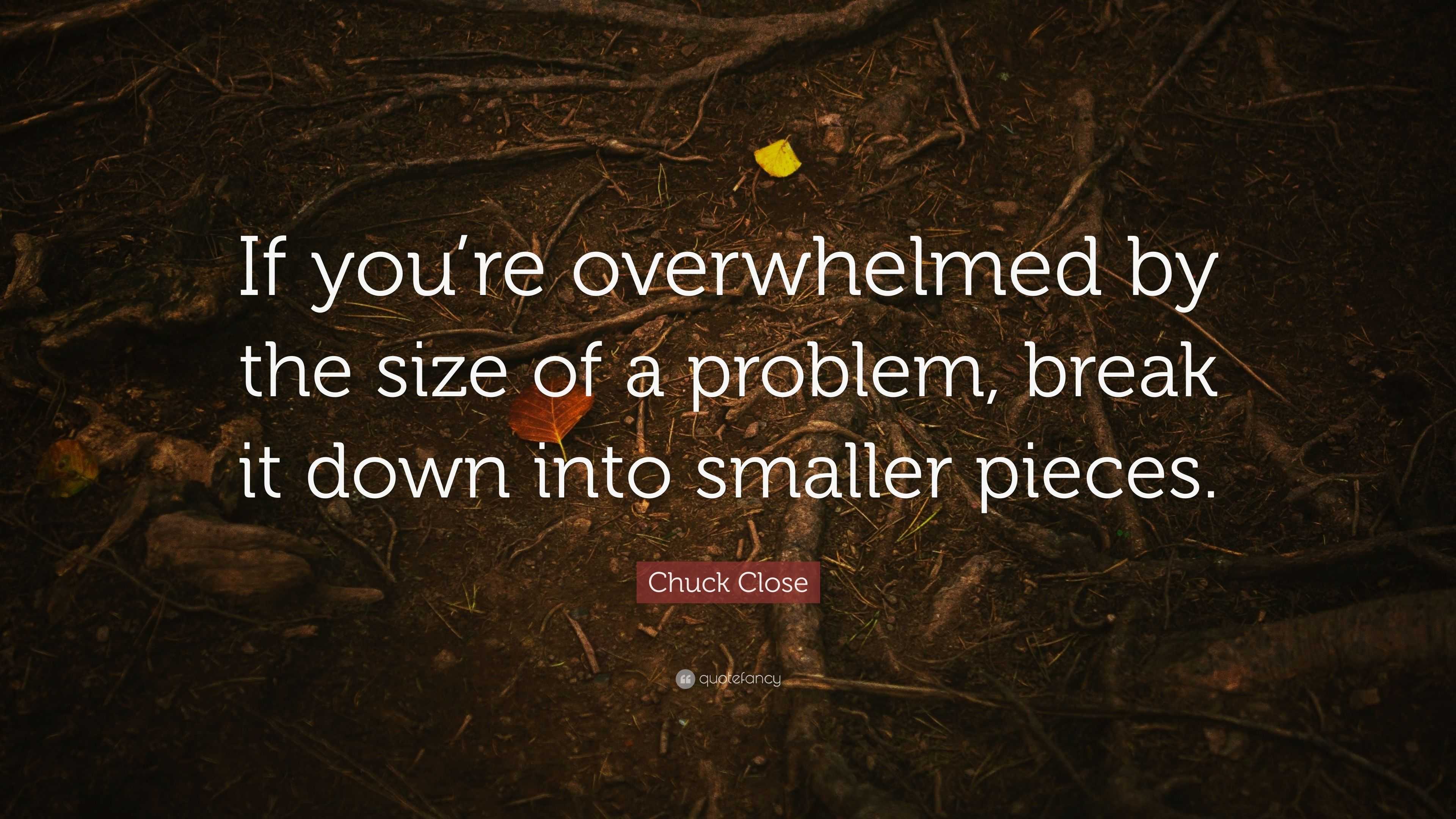 Chuck Close Quote “If you’re overwhelmed by the size of a problem