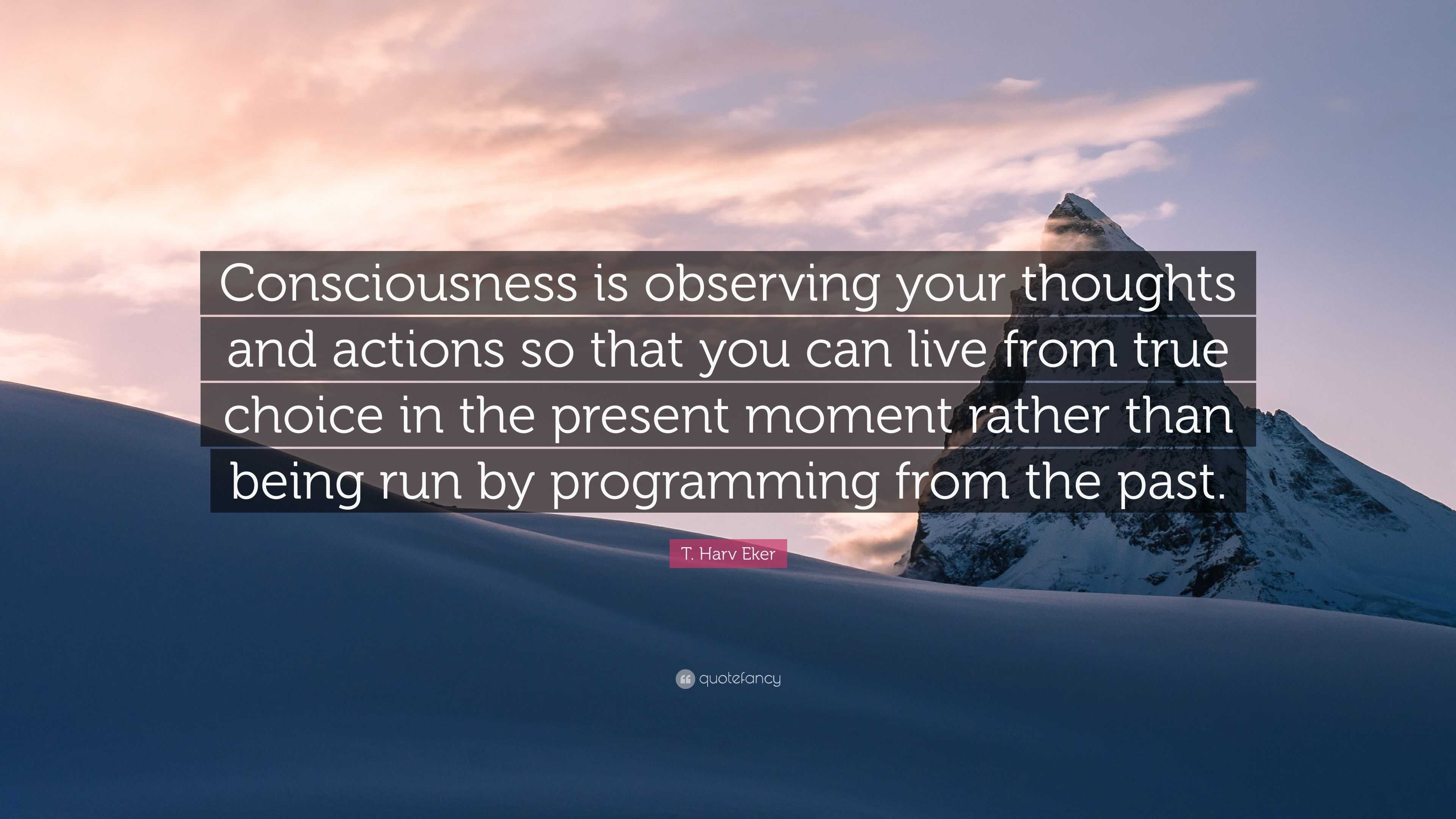 T. Harv Eker Quote: “Consciousness is observing your thoughts and ...