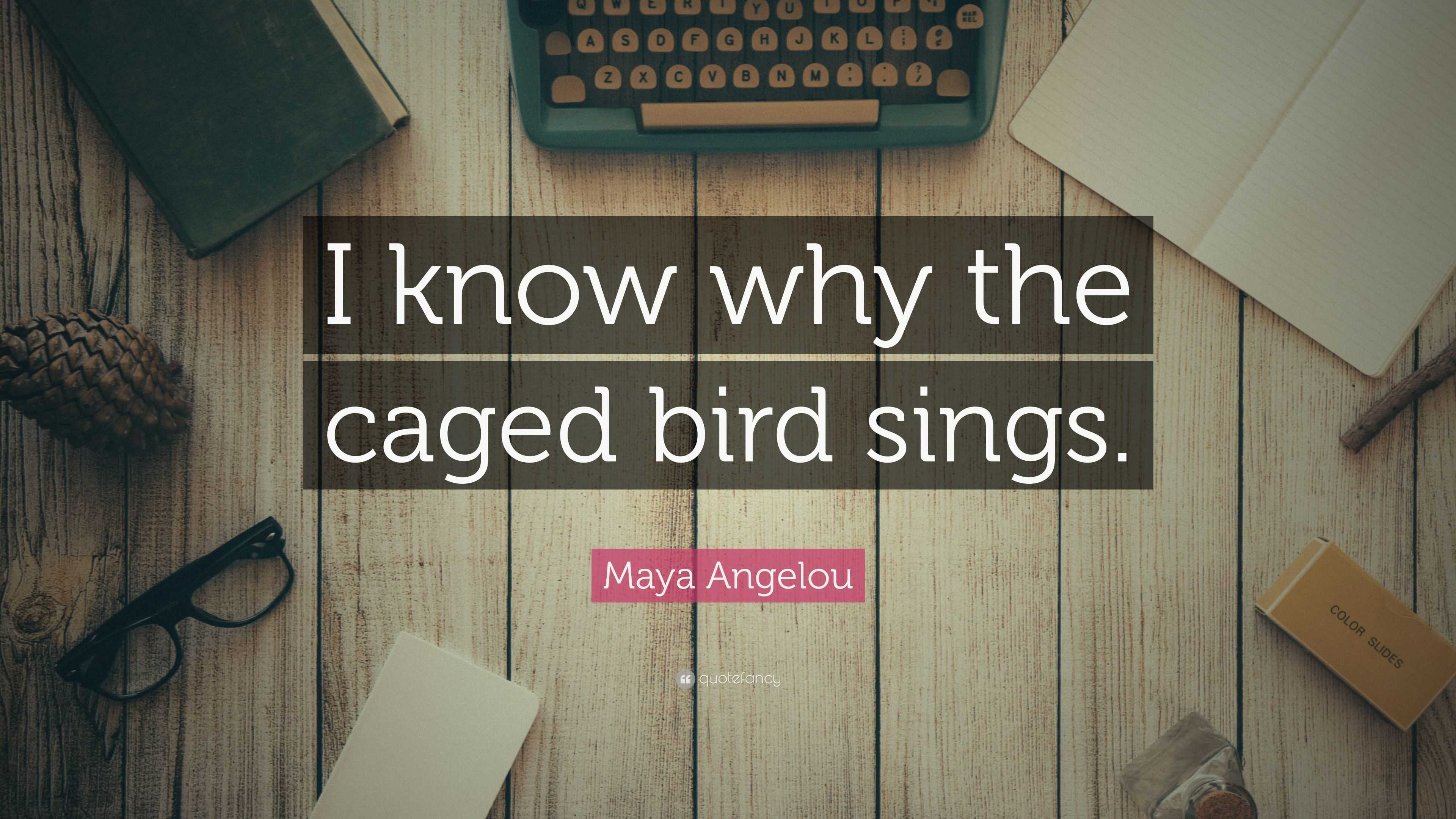 In Maya Angelous Essay I Know Why The Caged Bird Sings