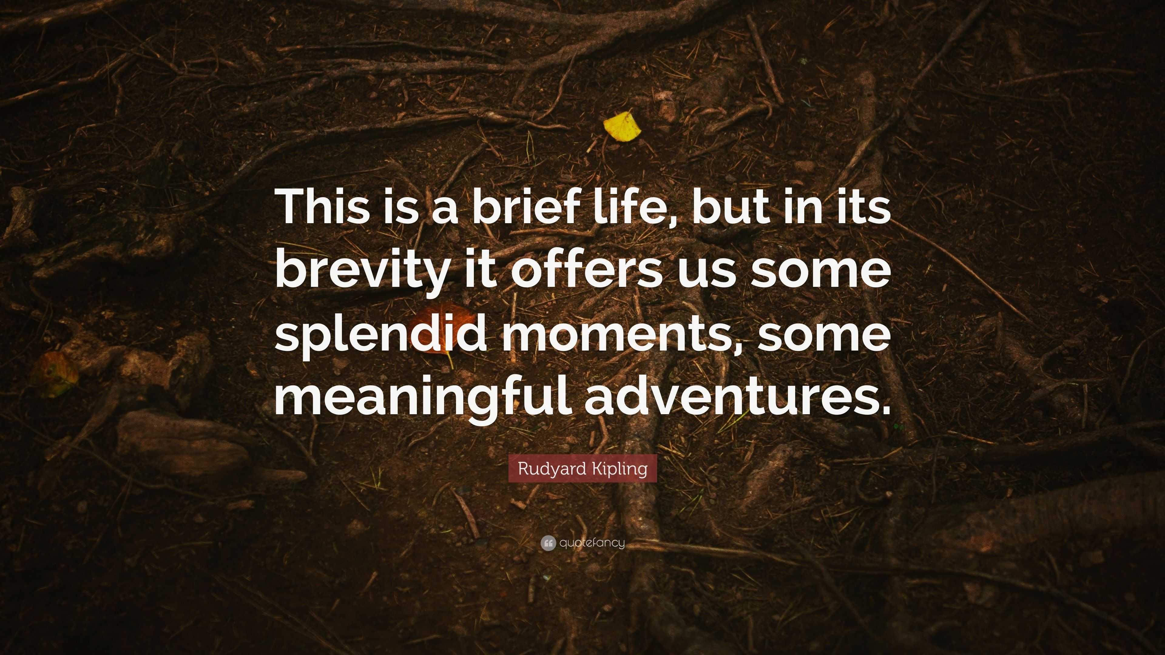 Rudyard Kipling Quote: “This Is A Brief Life, But In Its Brevity It ...