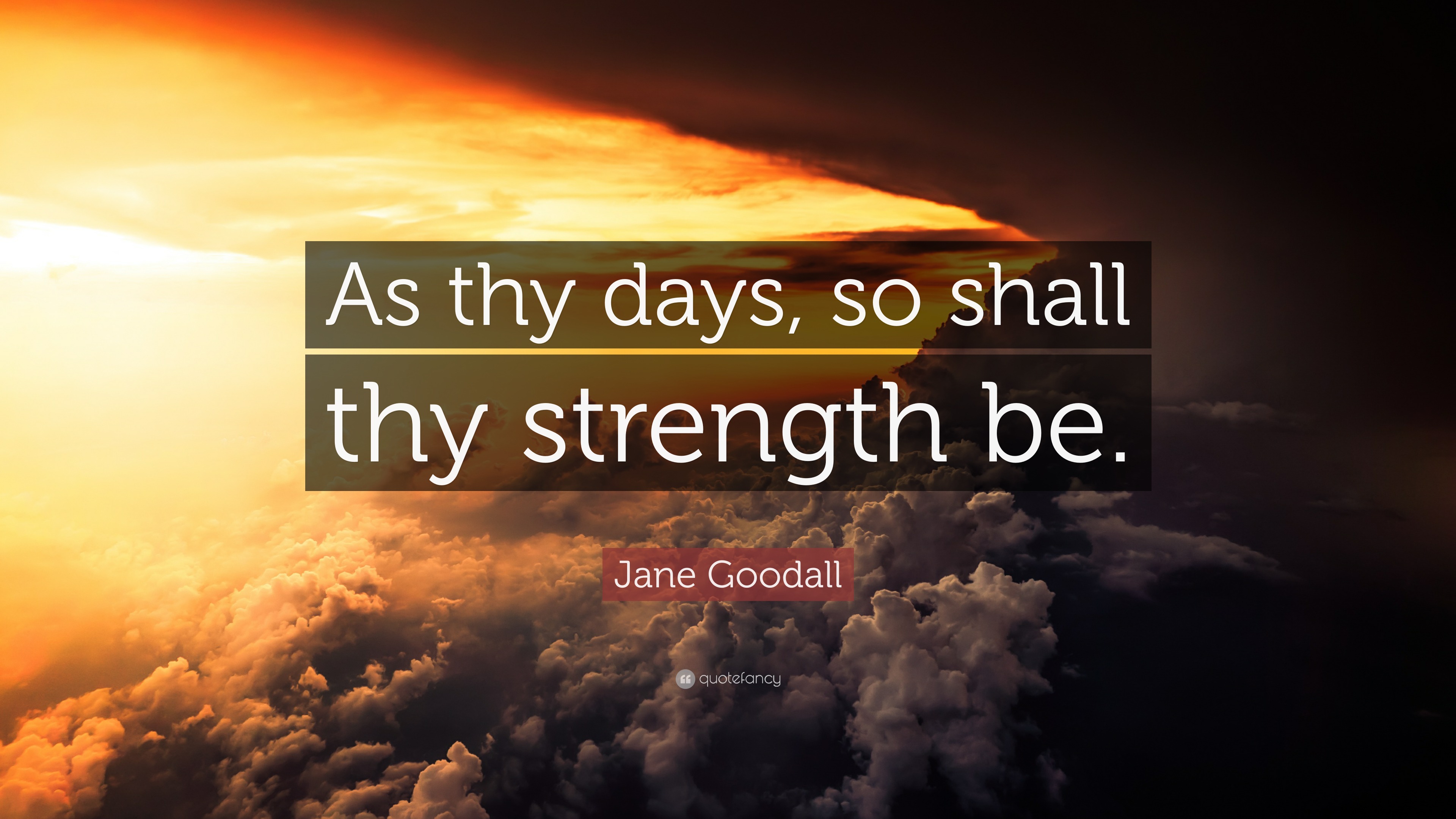 Jane Goodall Quote: “As Thy Days, So Shall Thy Strength Be.”