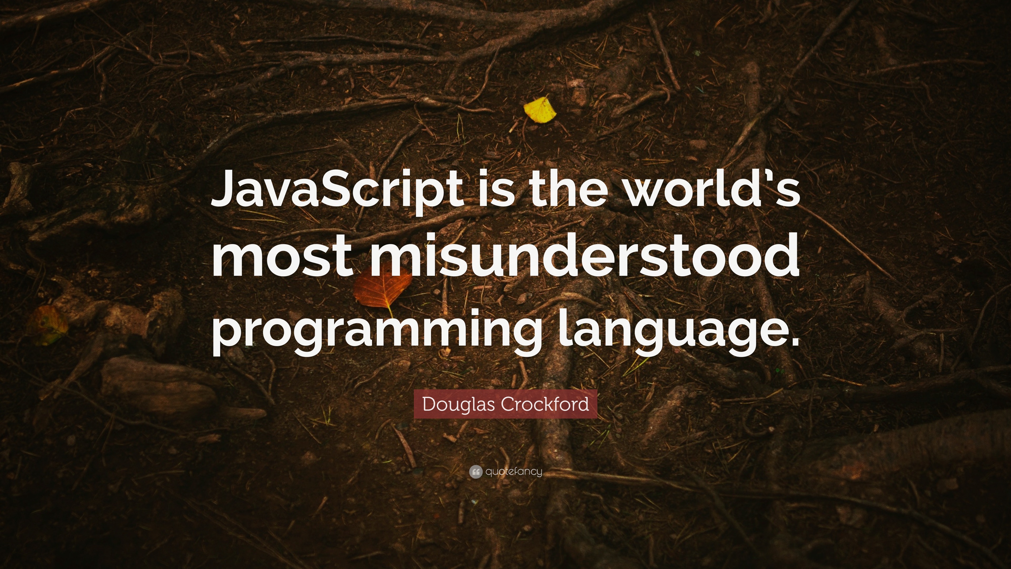 Douglas Crockford Quote: “JavaScript is the world’s most misunderstood