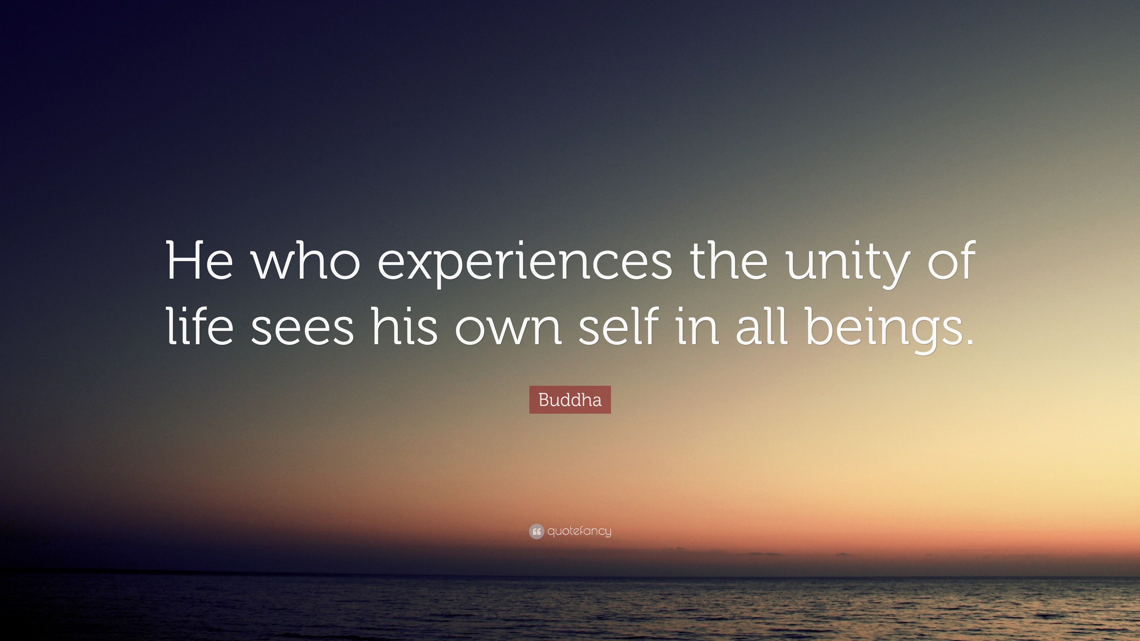 Buddha Quote: “He who experiences the unity of life sees his own self ...