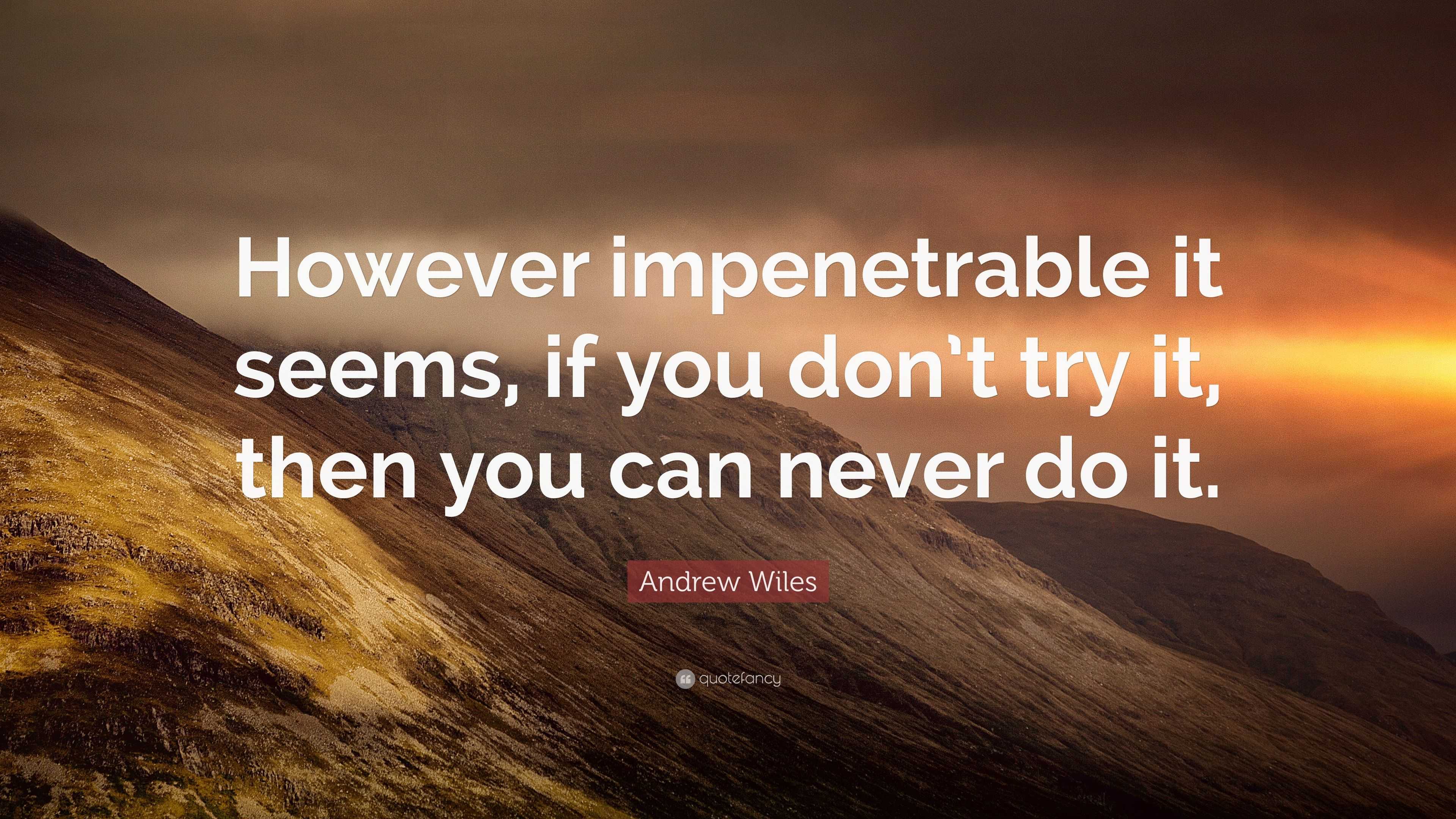 Andrew Wiles Quote: “However impenetrable it seems, if you don’t try it ...