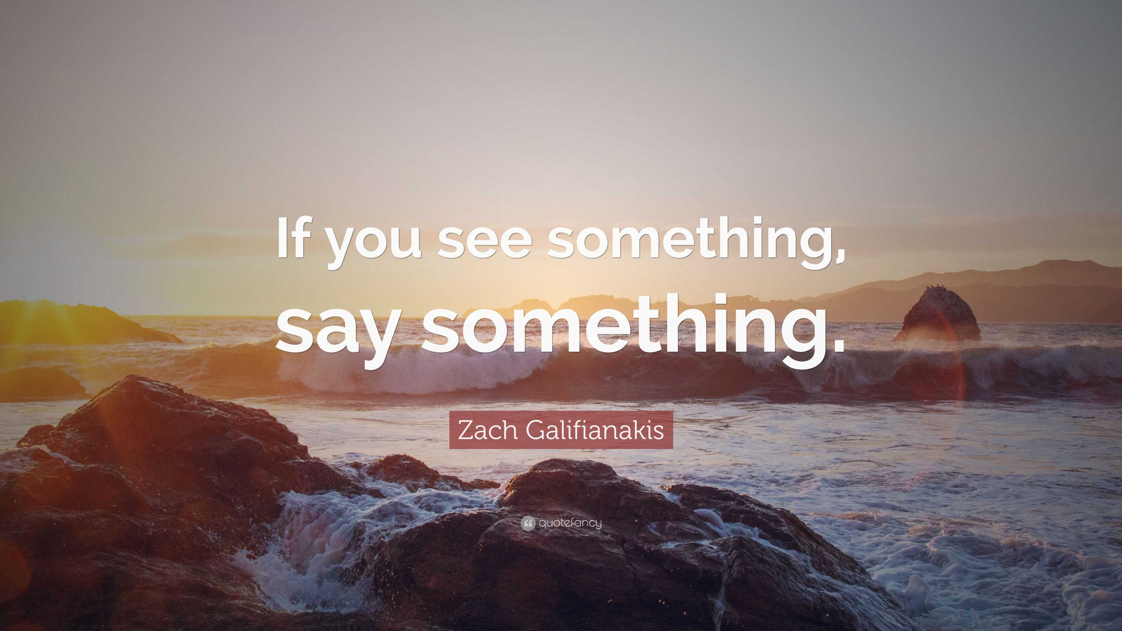 Zach Galifianakis Quote: “If you see something, say something.”