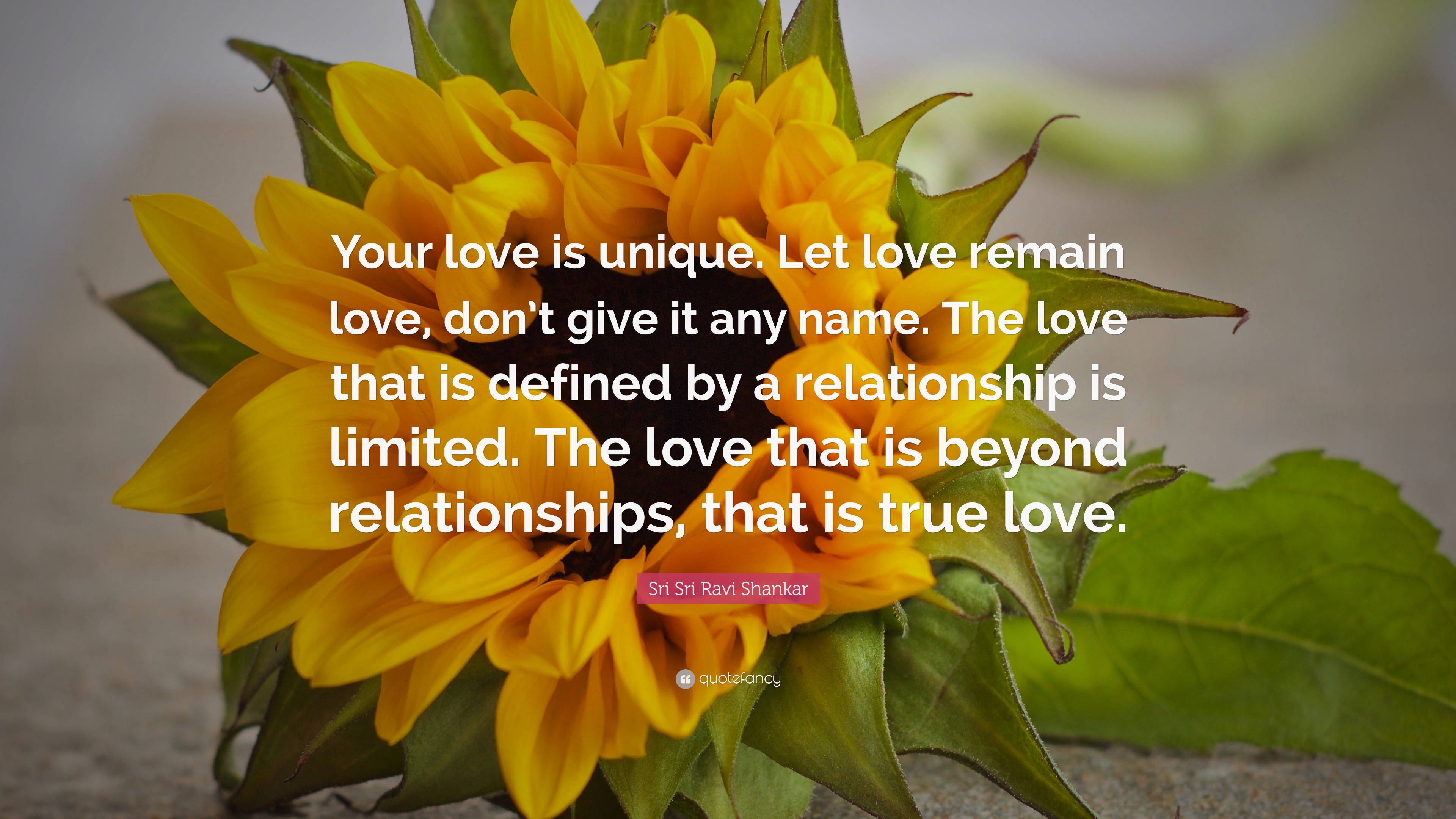 Sri Sri Ravi Shankar Quote: “Your love is unique. Let love remain love ...