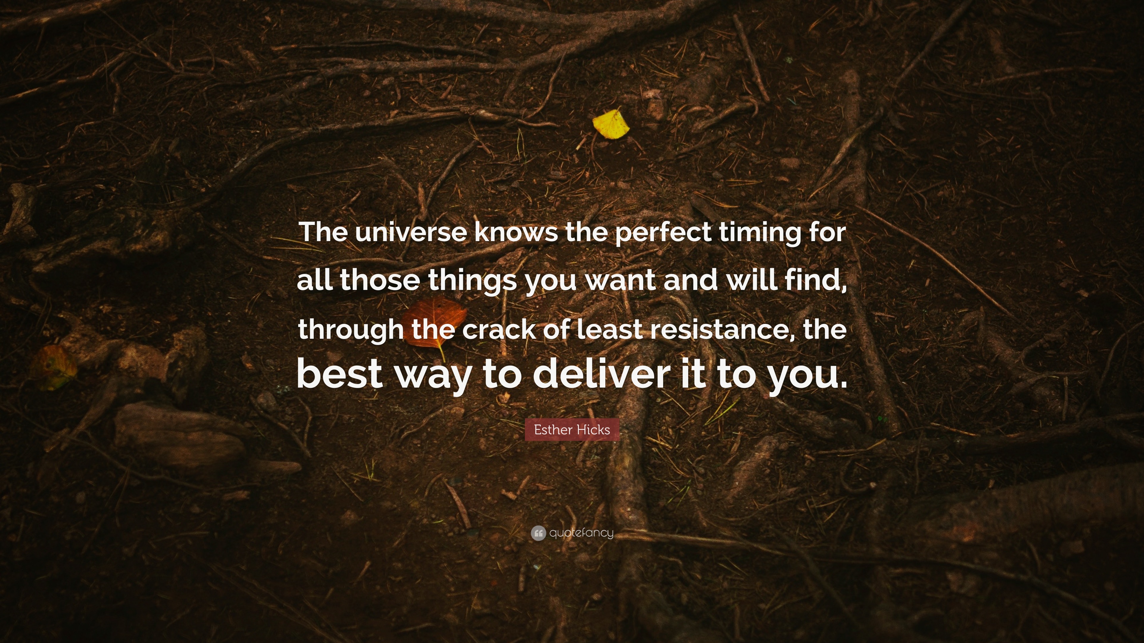 Esther Hicks Quote: “The Universe Knows The Perfect Timing For All ...