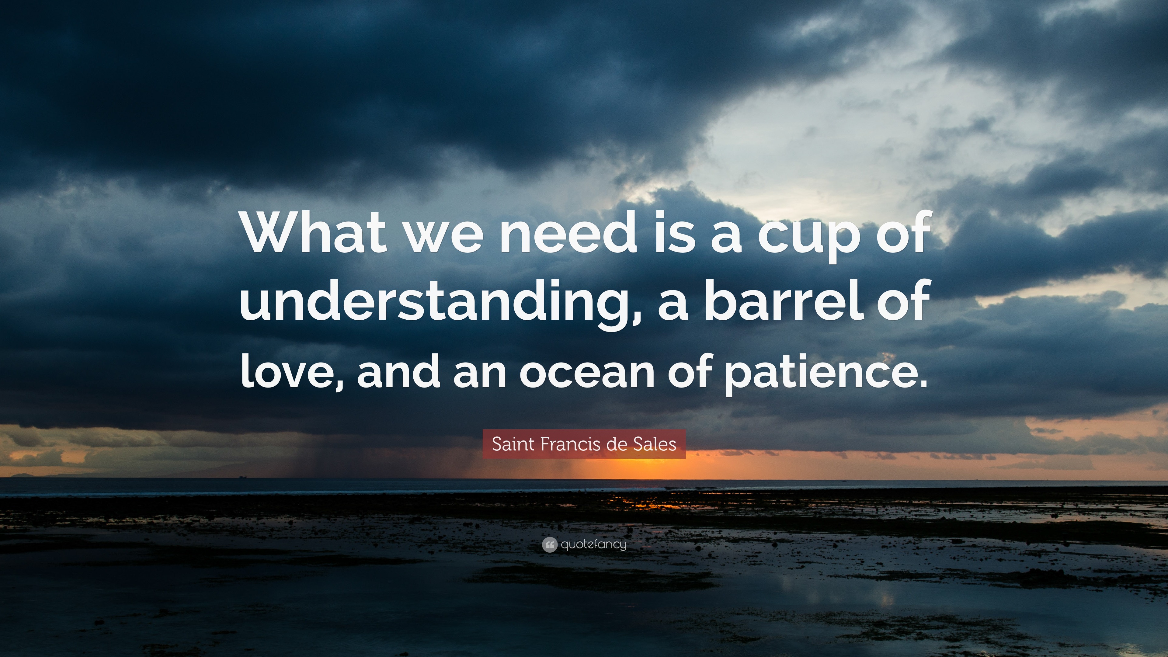 4783511 Saint Francis de Sales Quote What we need is a cup of