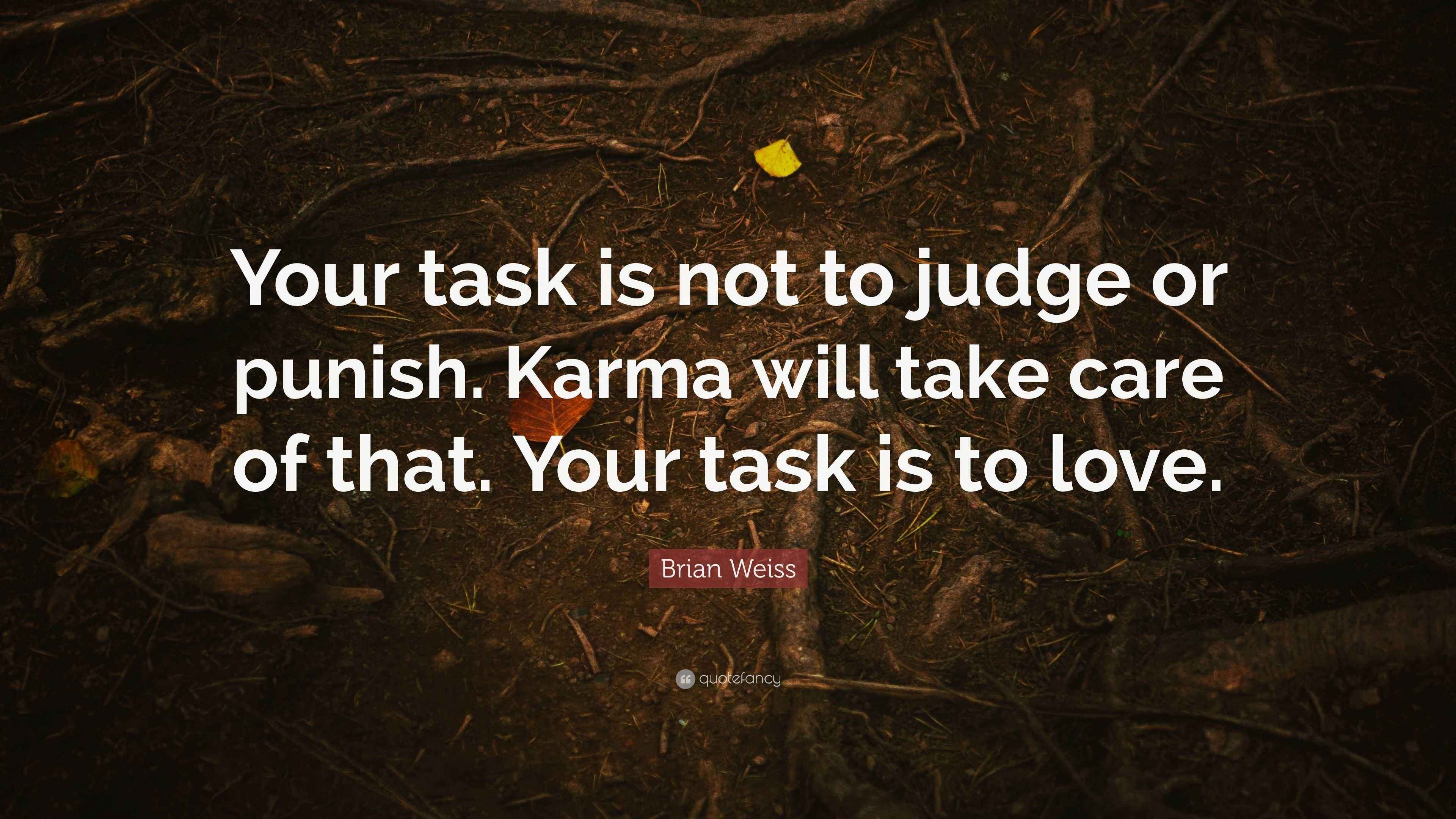 Brian Weiss Quote: “Your task is not to judge or punish. Karma will