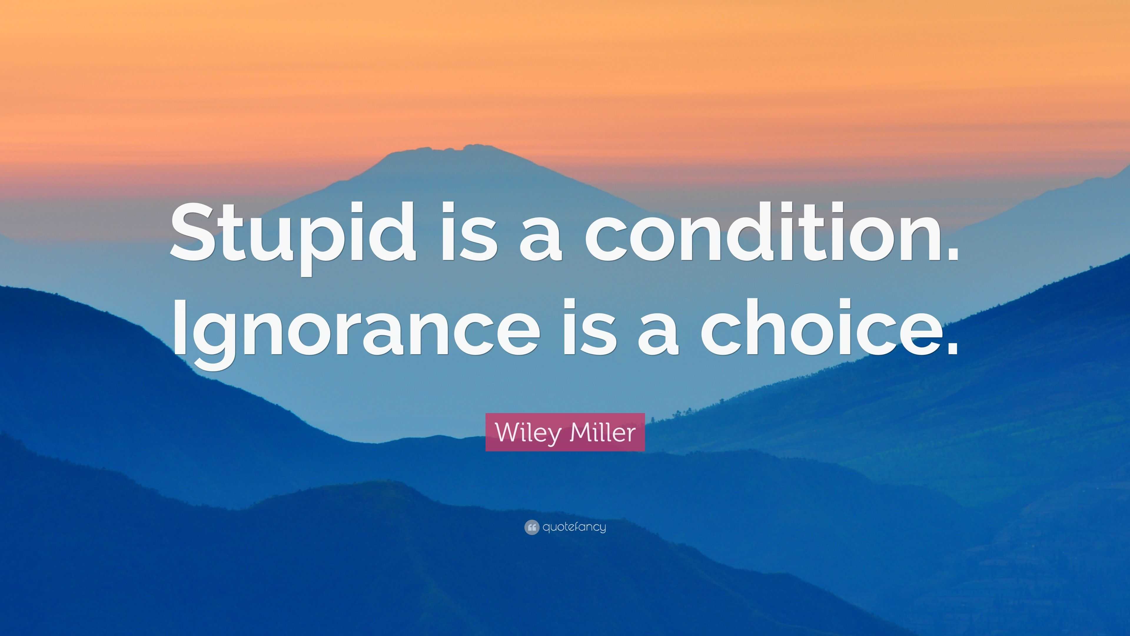 Wiley Miller Quote: “Stupid is a condition. Ignorance is a choice.”