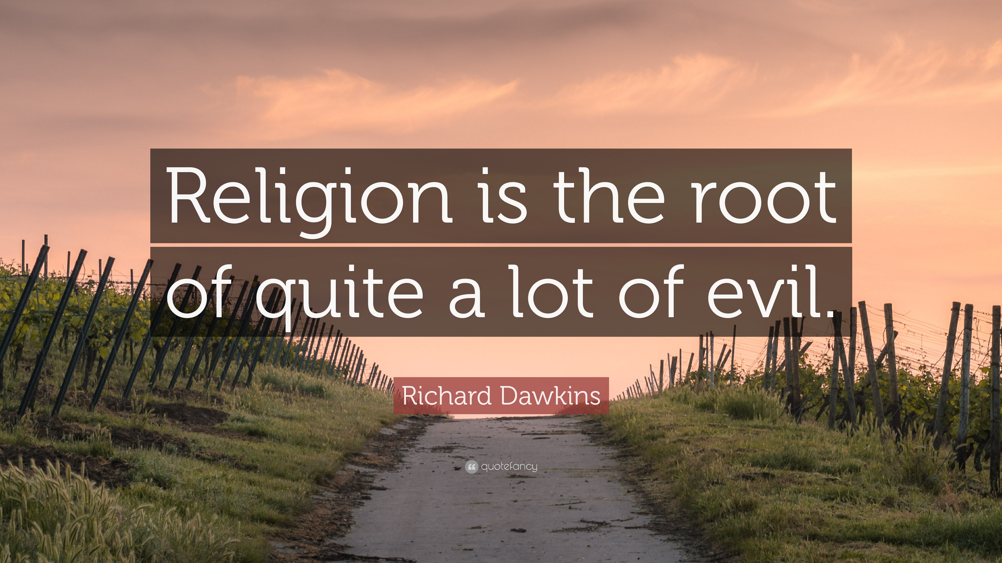 Richard Dawkins Quote: “Religion is the root of quite a lot of evil.”