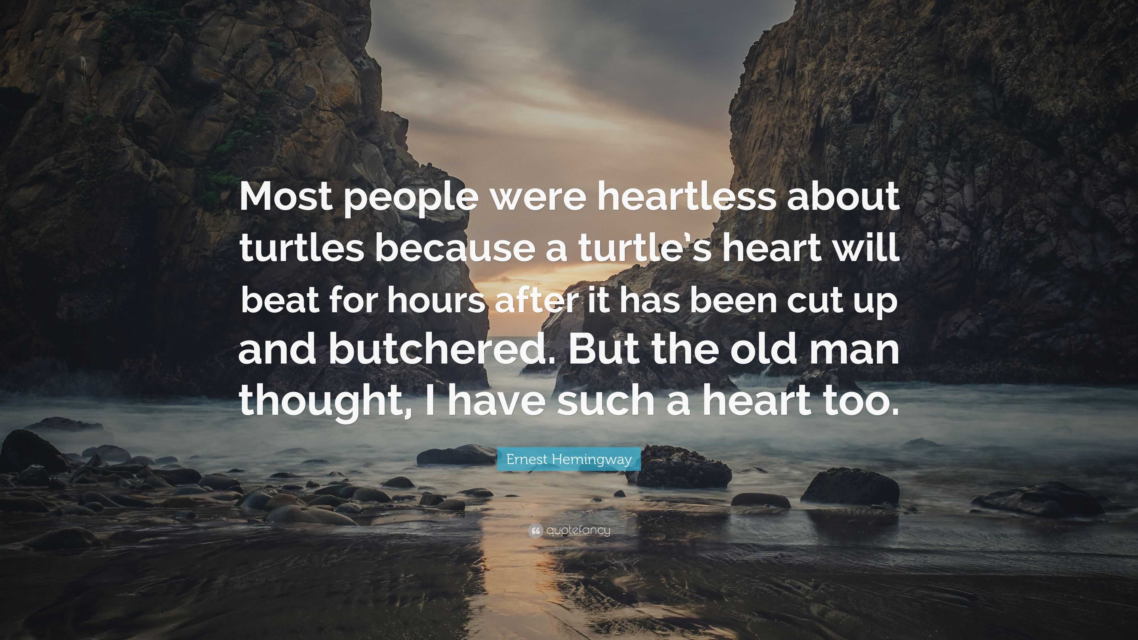 Ernest Hemingway Quote: "Most people were heartless about turtles because a turtle's heart will ...