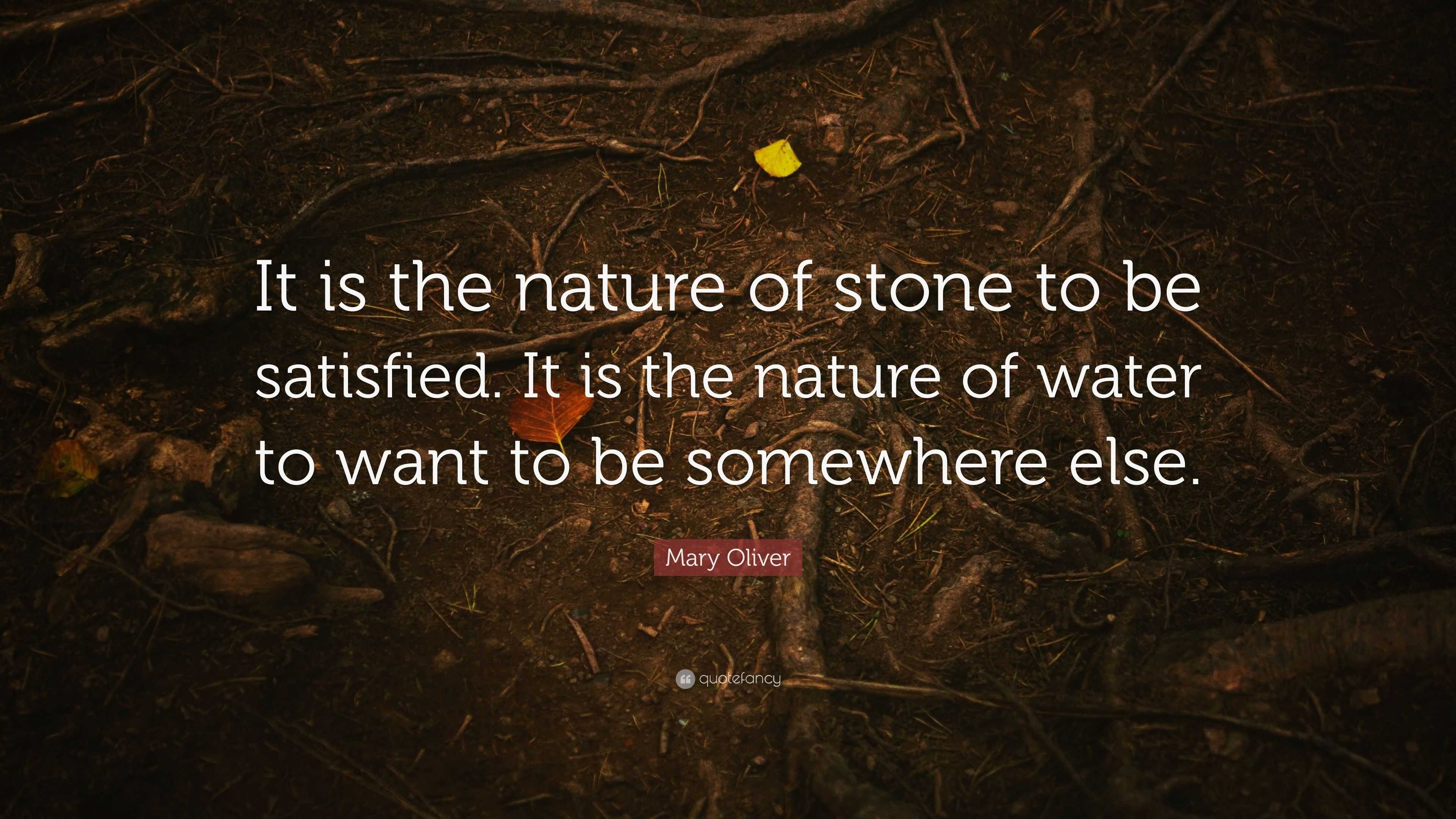 Mary Oliver Quote: “It is the nature of stone to be satisfied. It is