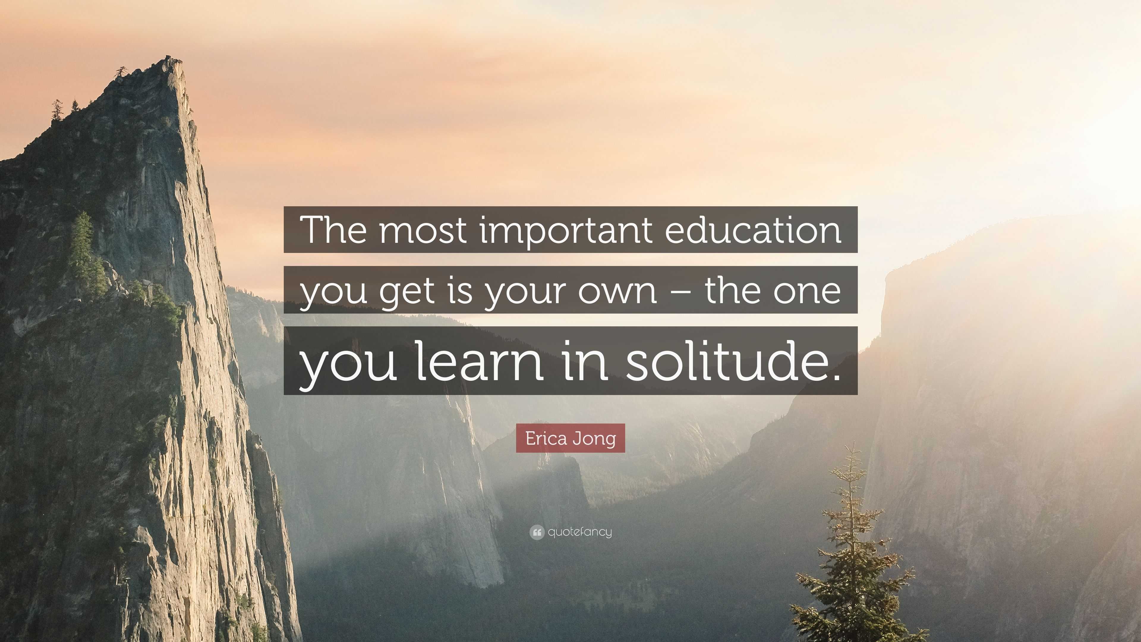 Erica Jong Quote: “The most important education you get is your own ...