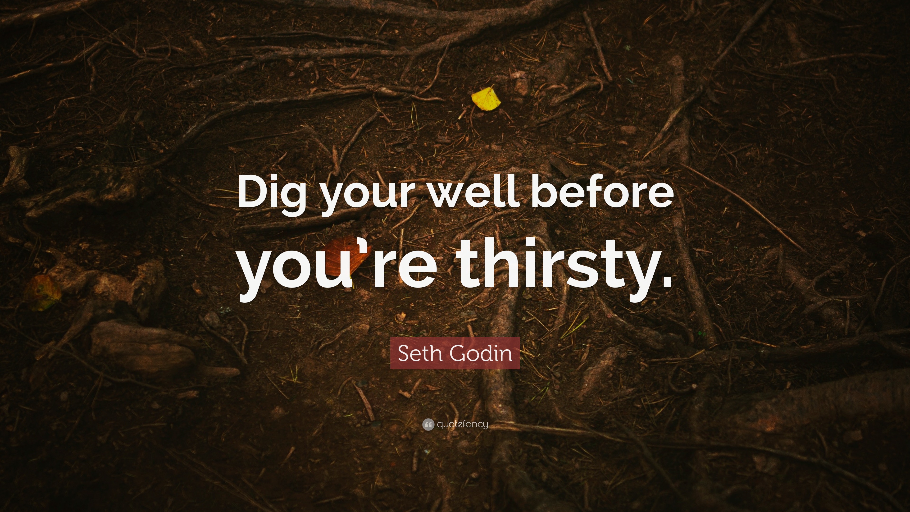 Seth Godin Quote: “Dig your well before you’re thirsty.”