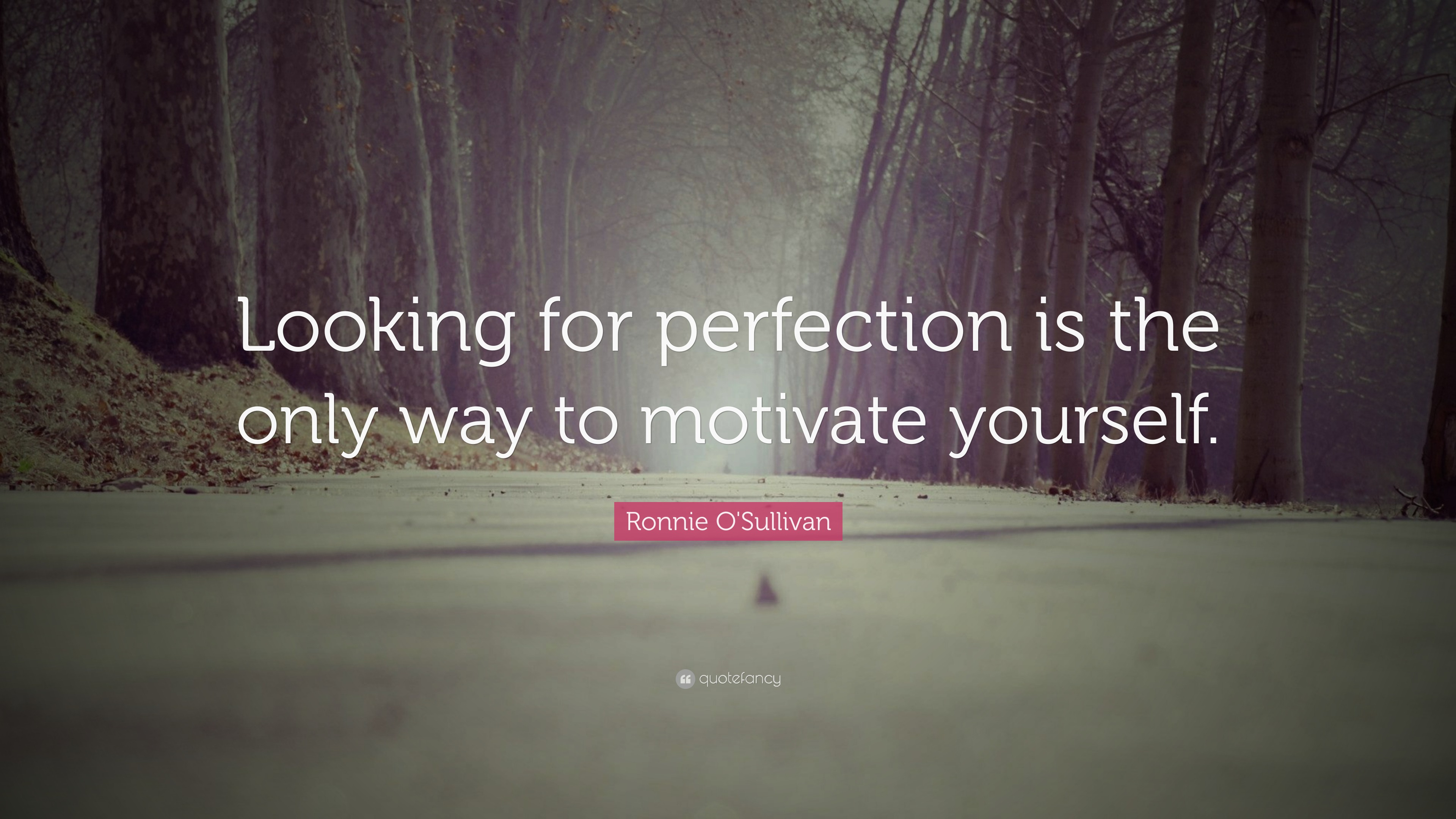 Ronnie O'Sullivan Quote: “Looking for perfection is the only way to ...