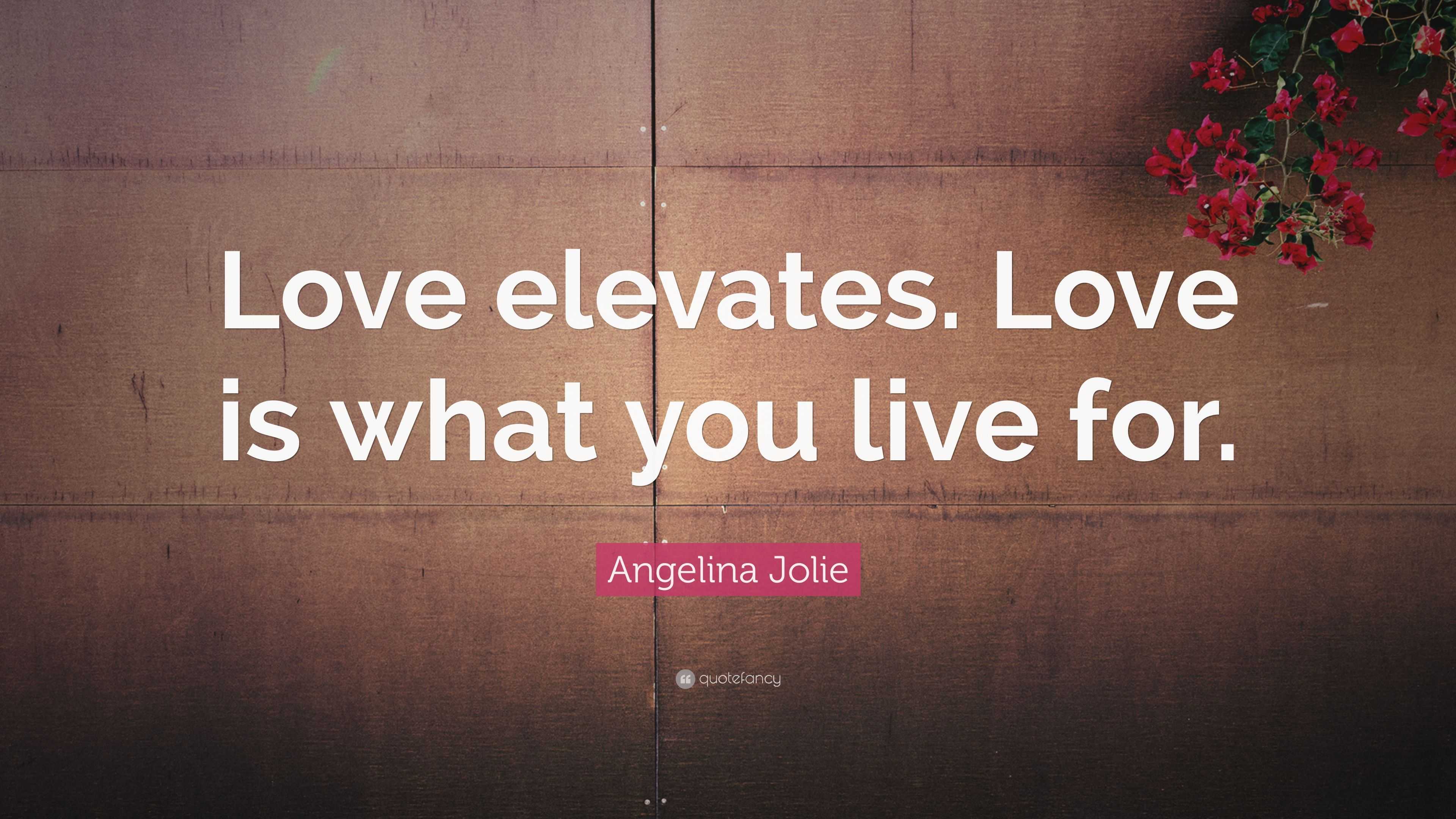 Angelina Jolie Quote: “Love elevates. Love is what you live for.”