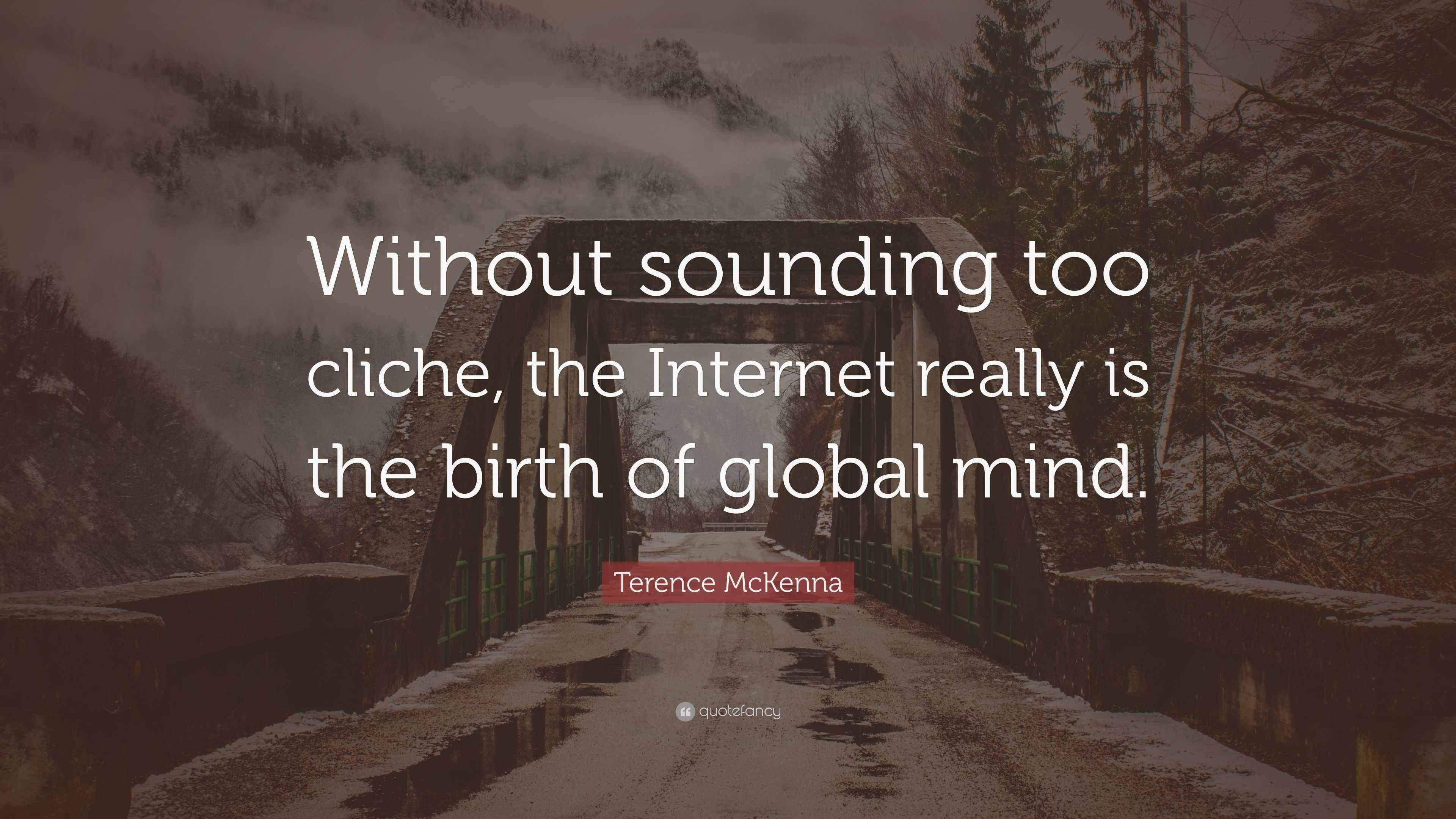 Terence McKenna Quote “Without sounding too cliche, the