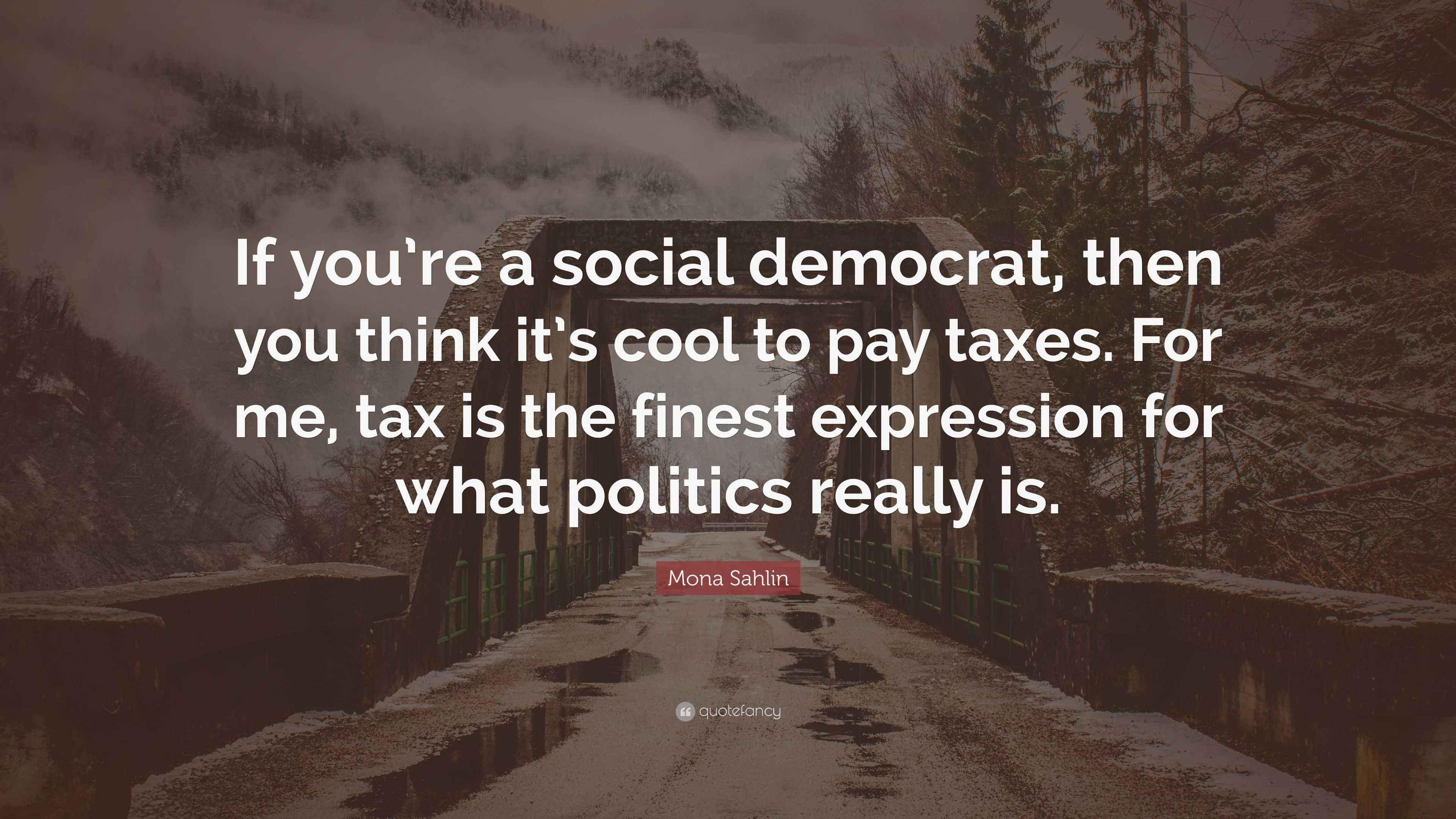 Mona Sahlin Quote “If you’re a social democrat, then you think it’s