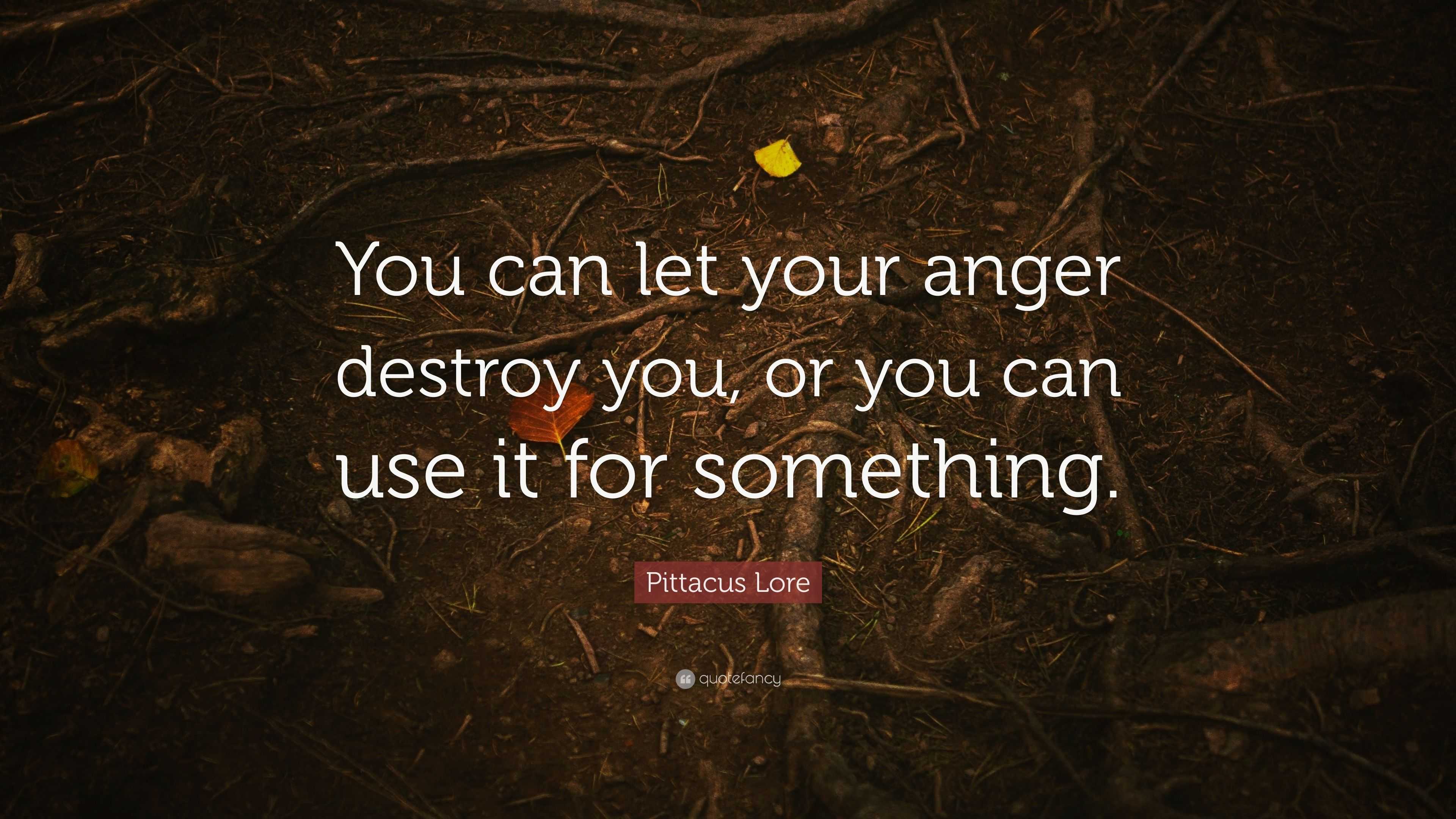 Pittacus Lore Quote: “You can let your anger destroy you, or you can ...