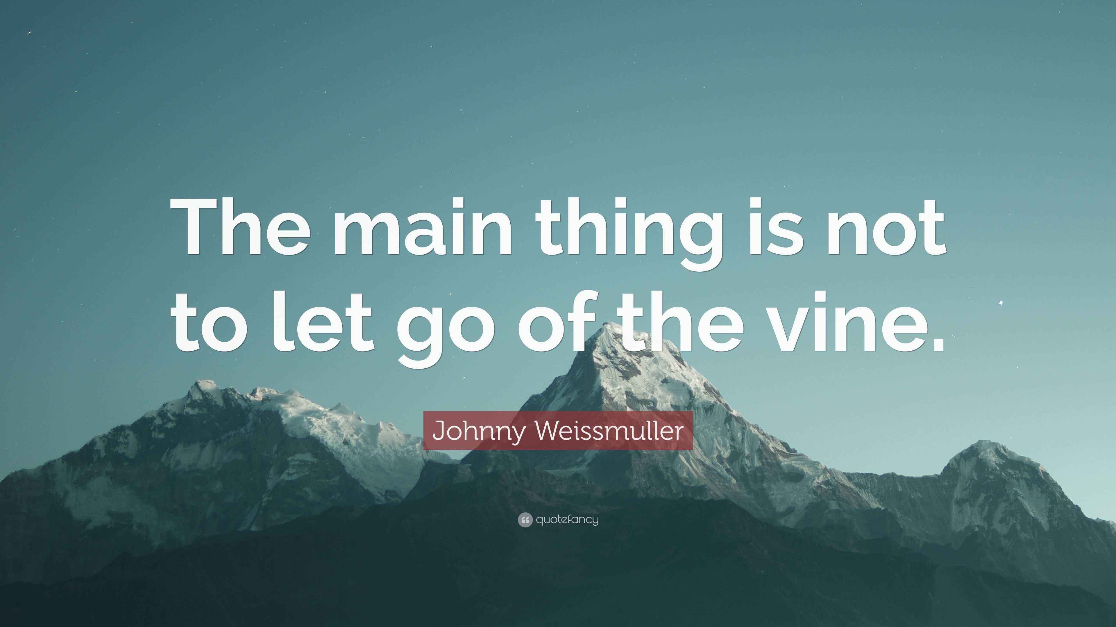 Johnny Weissmuller Quote The Main Thing Is Not To Let Go Of The Vine 
