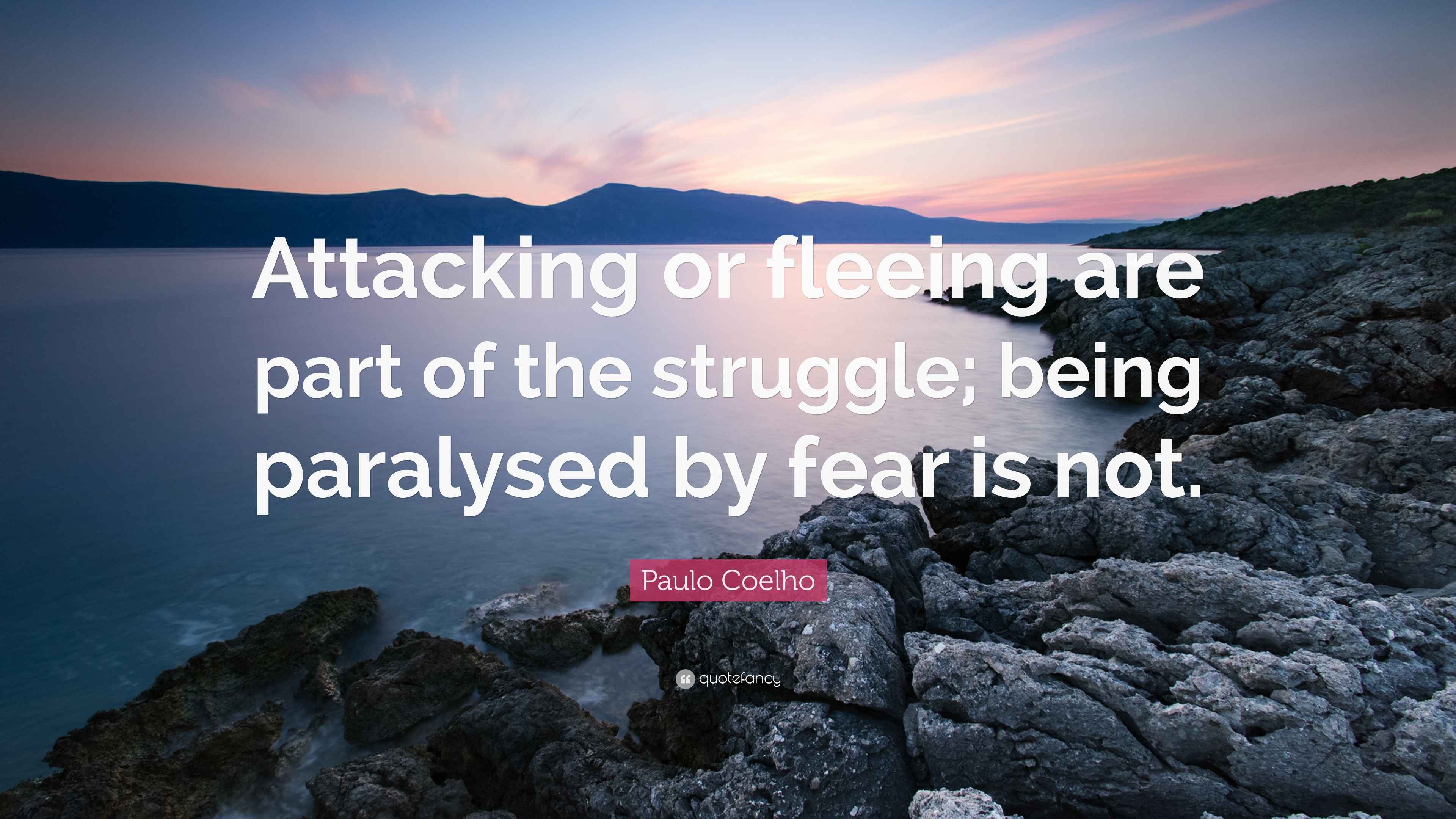 Paulo Coelho Quote: “Attacking or fleeing are part of the struggle ...