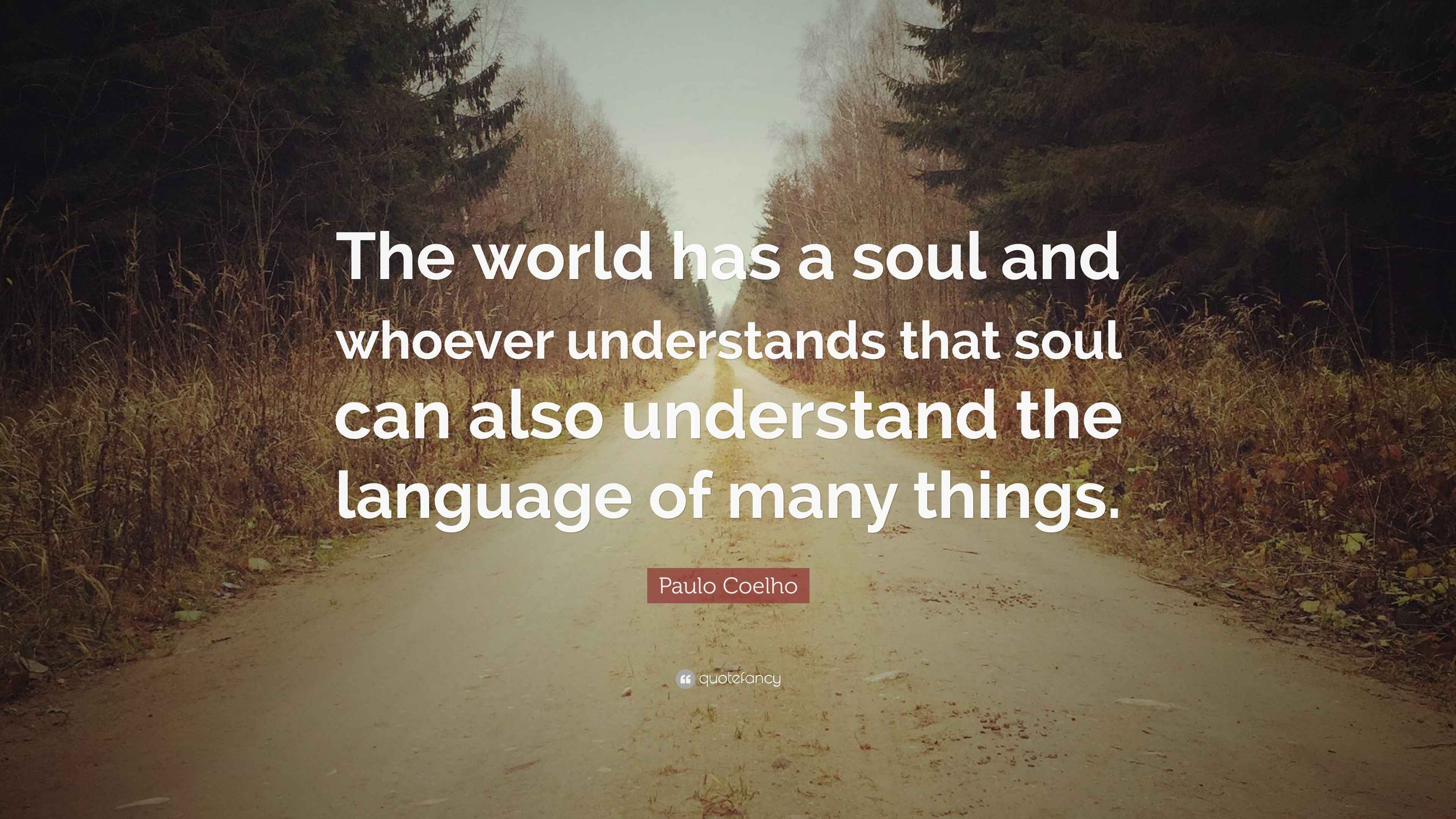 Paulo Coelho Quote: “The world has a soul and whoever understands that ...