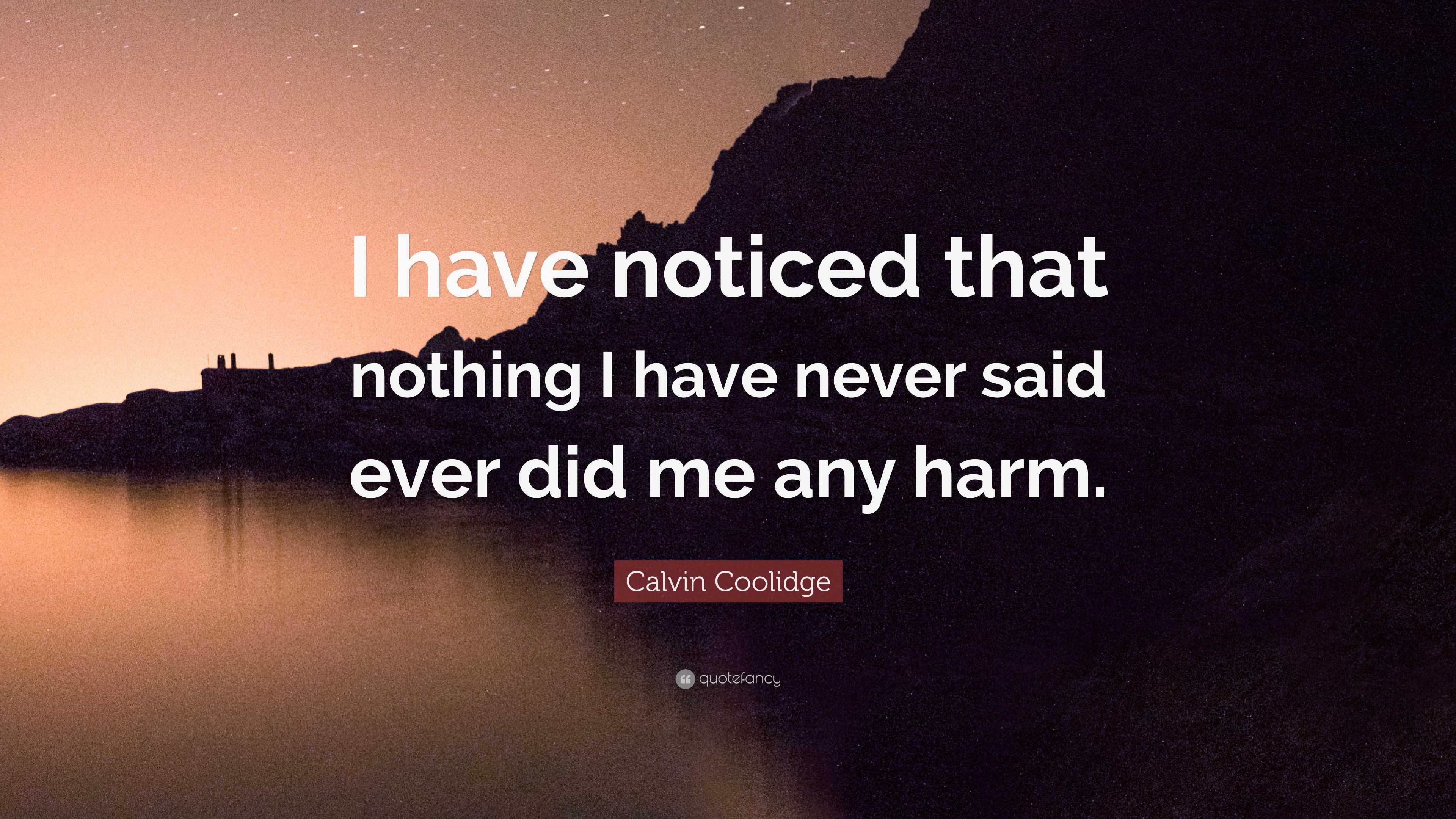 Calvin Coolidge Quote “i Have Noticed That Nothing I Have Never Said