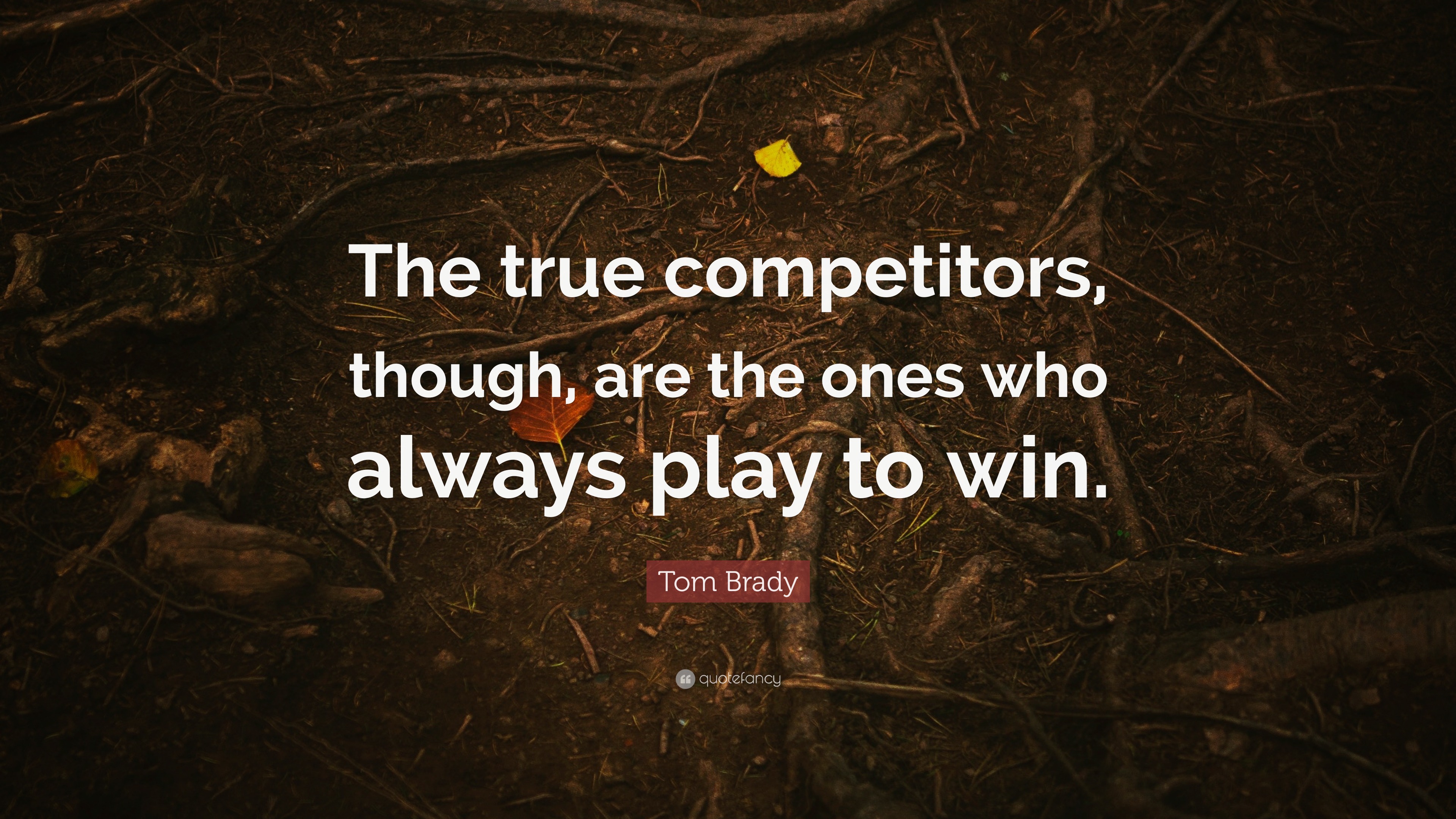 Tom Brady Quote: “The true competitors, though, are the ones who always ...