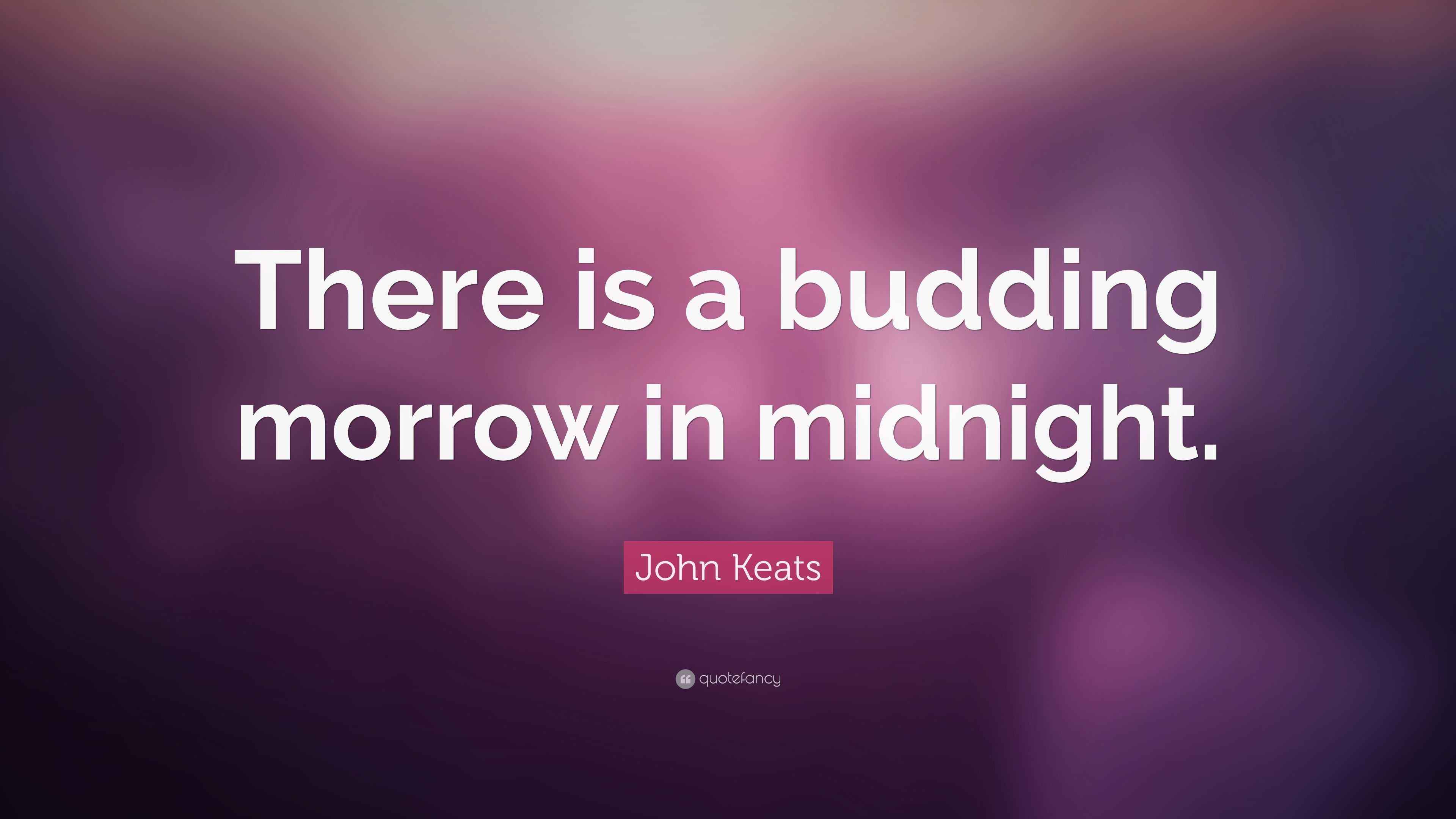 There is a budding morrow in midnight essay 02 image