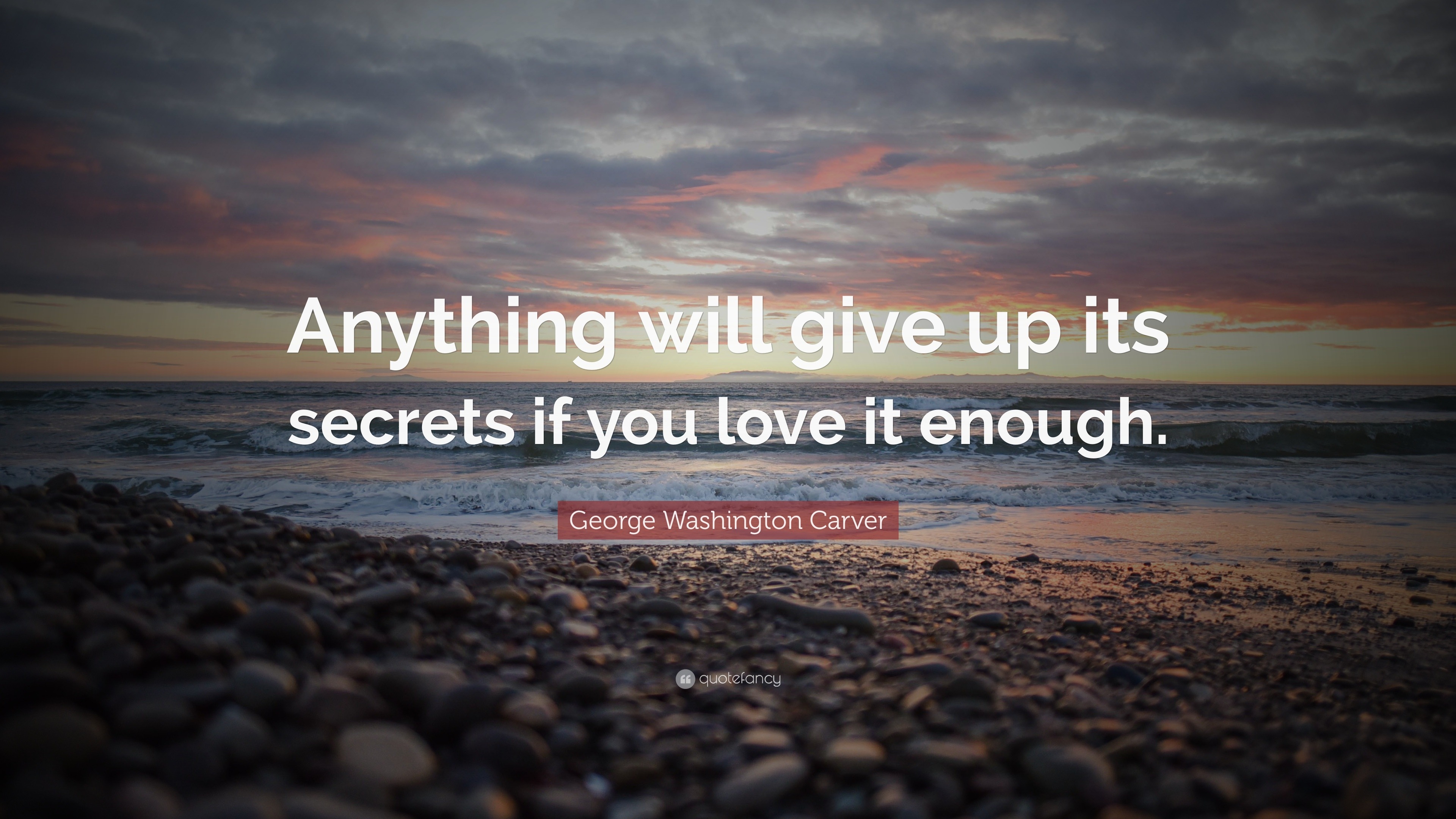 George Washington Carver Quote “Anything will give up its secrets if you love it