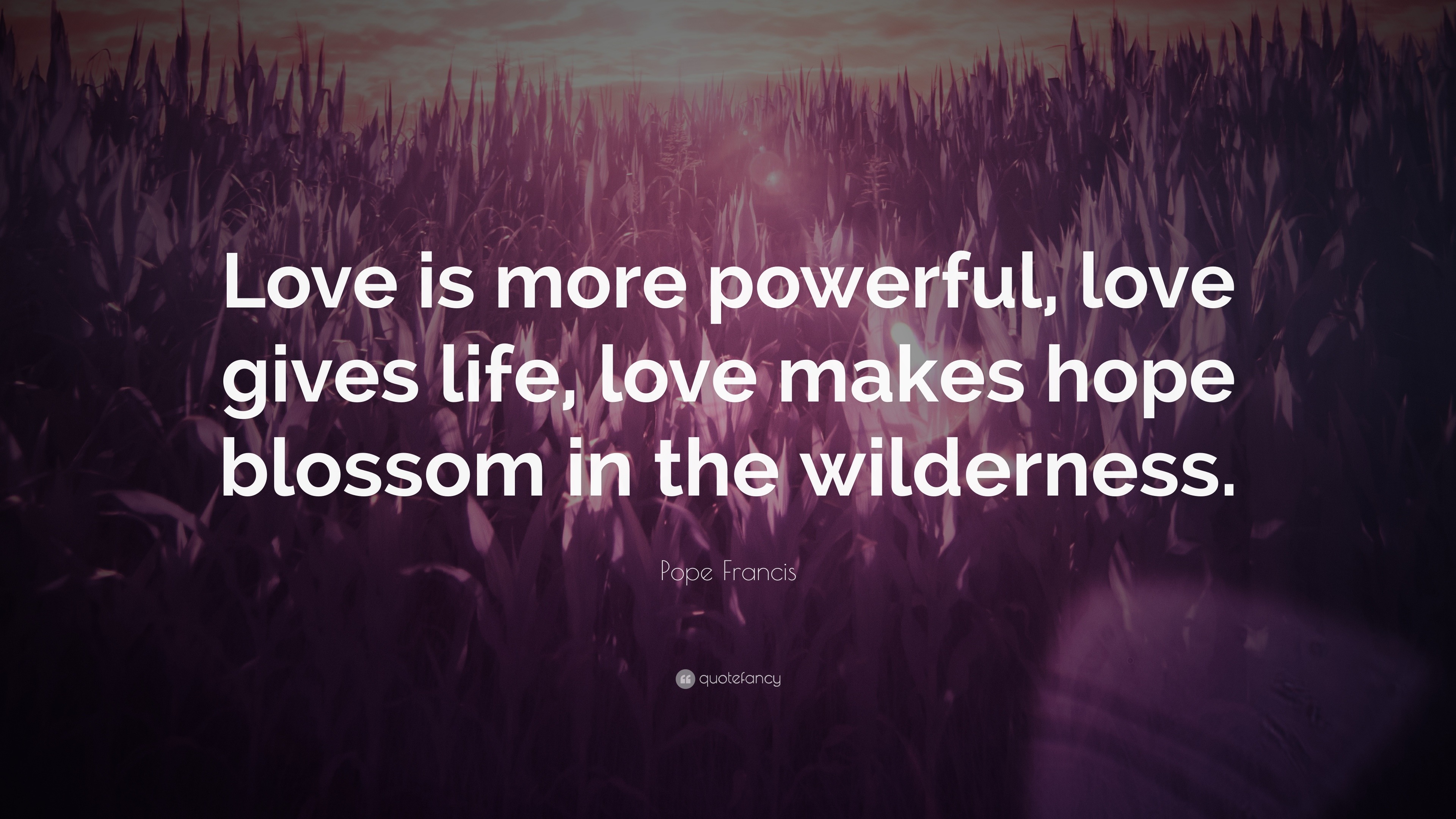 Pope Francis Quote “Love is more powerful love gives life love makes