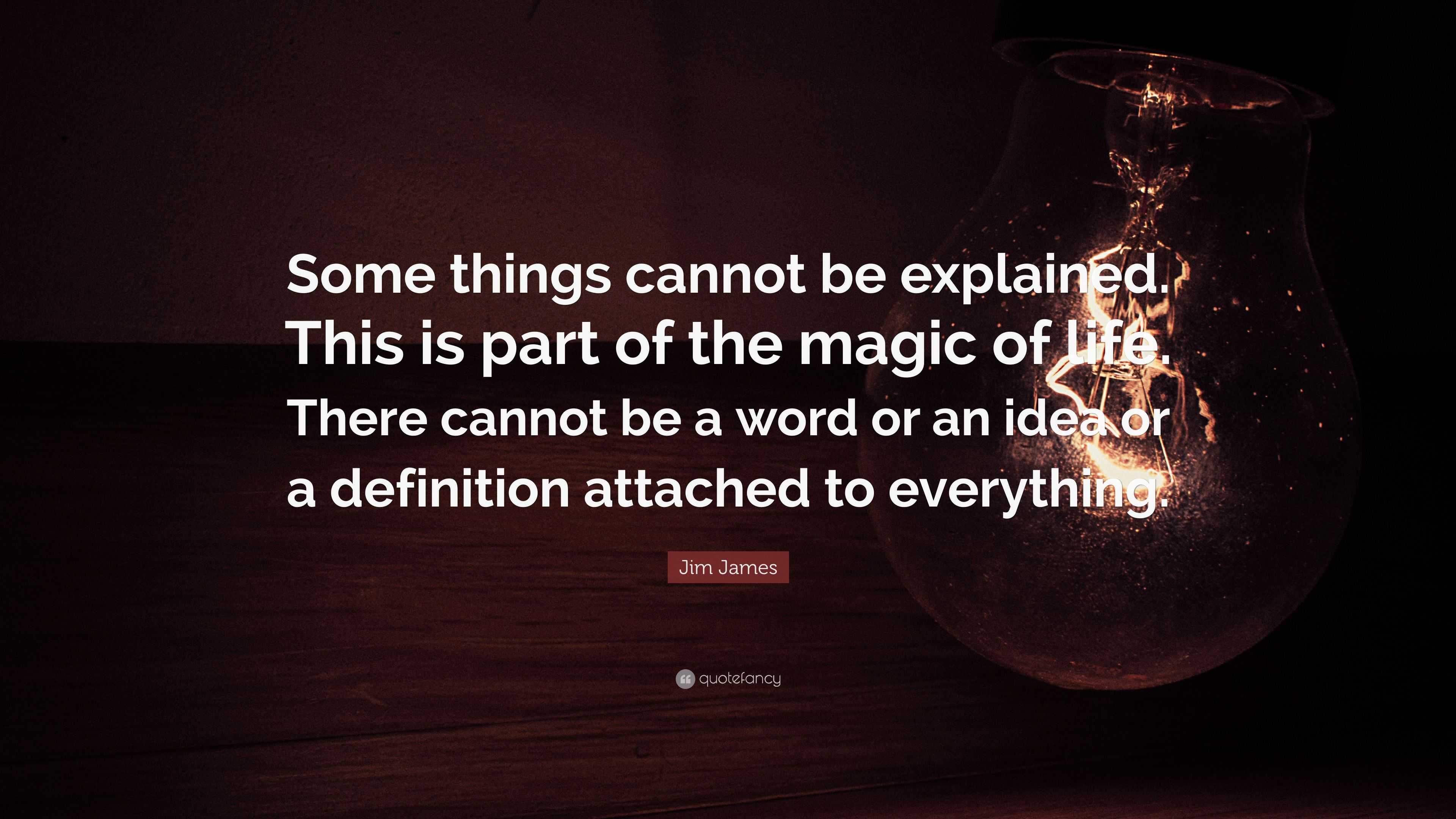 Jim James Quote: “Some things cannot be explained. This is part of the ...