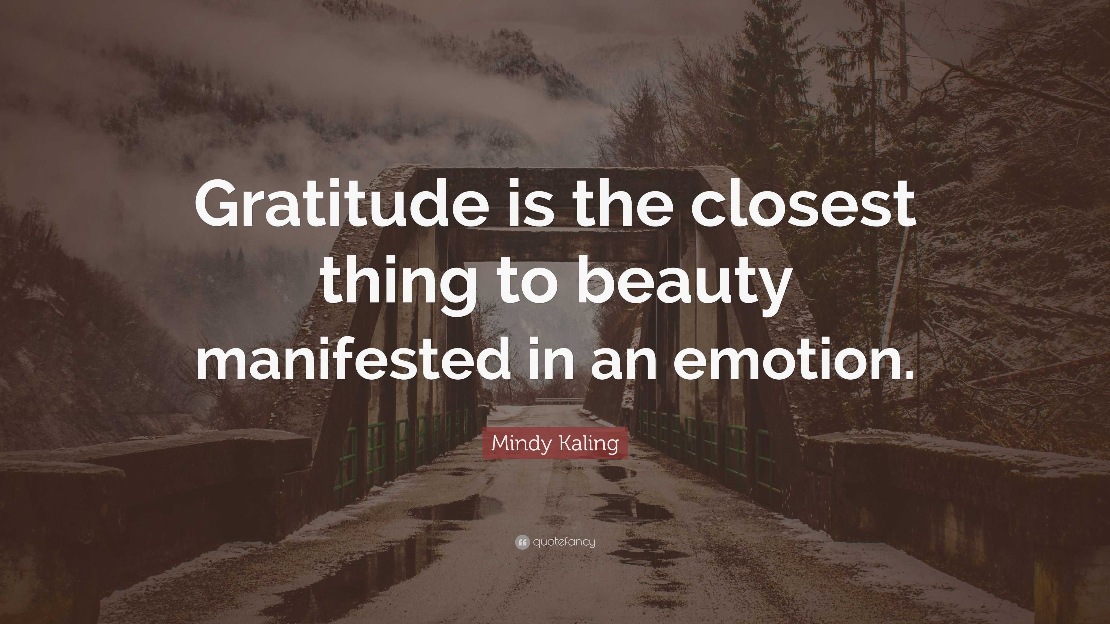 Mindy Kaling Quote: “Gratitude is the closest thing to beauty ...