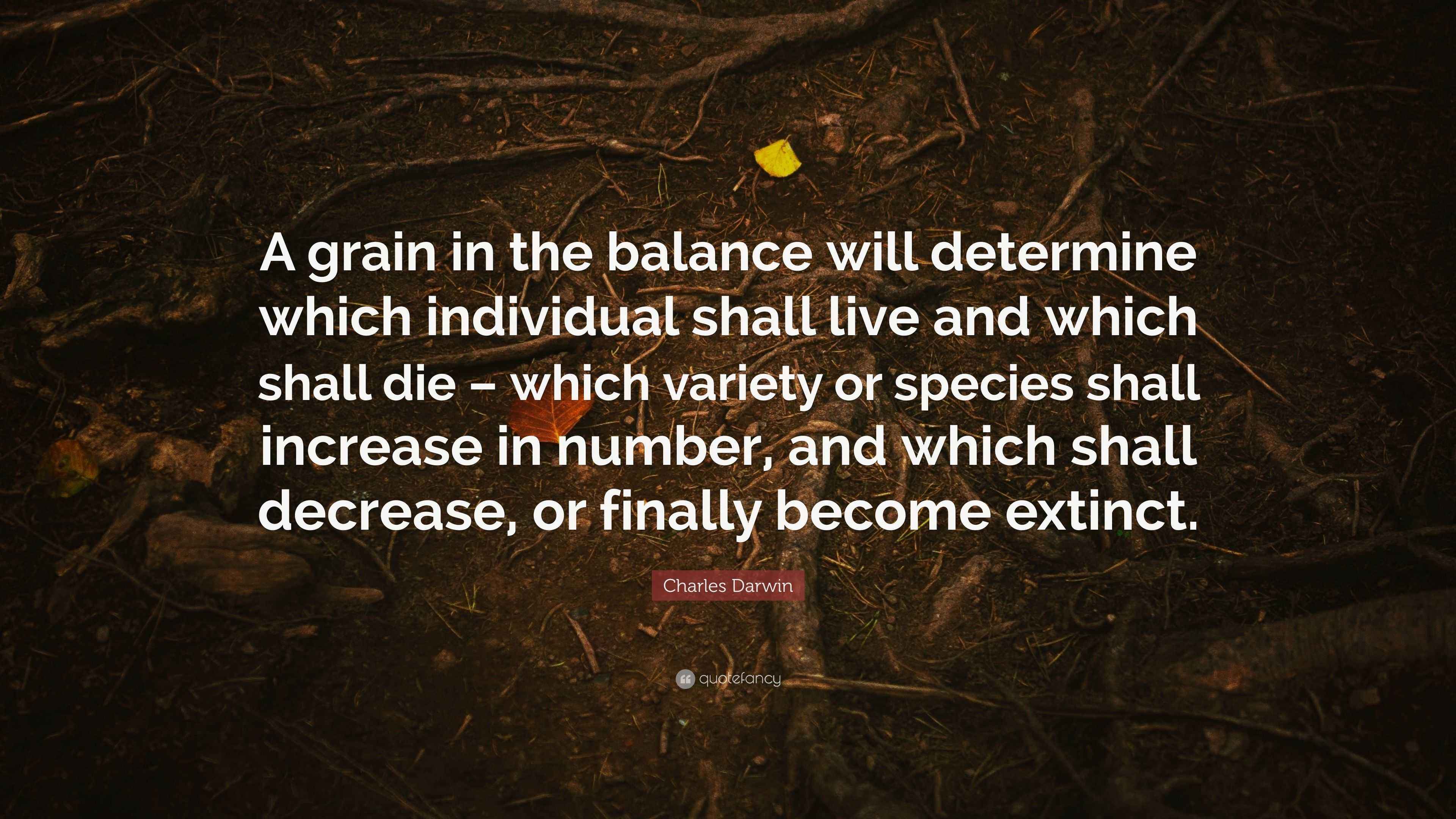 Charles Darwin Quote “A grain in the balance will determine which