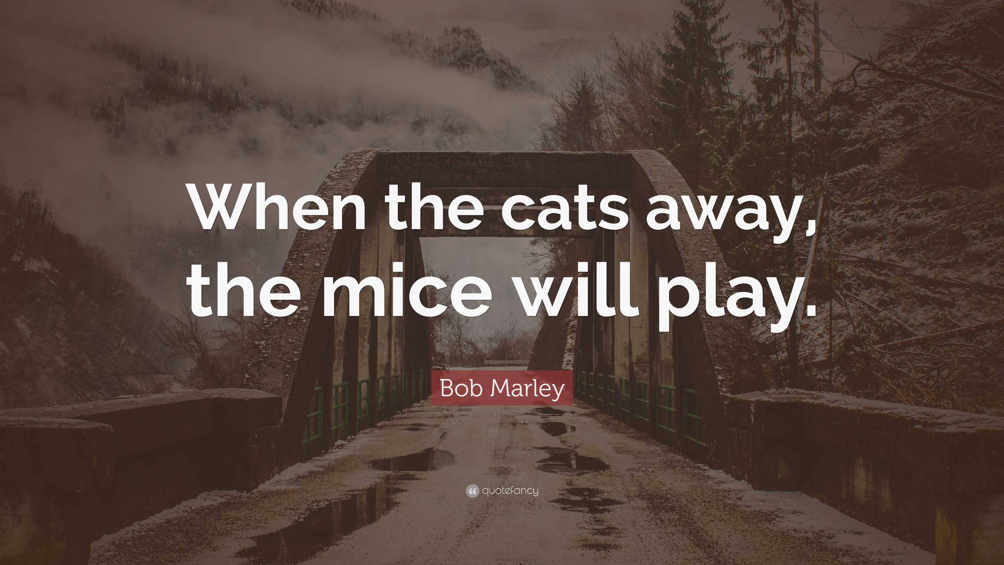 Bob Marley Quote When The Cats Away The Mice Will Play