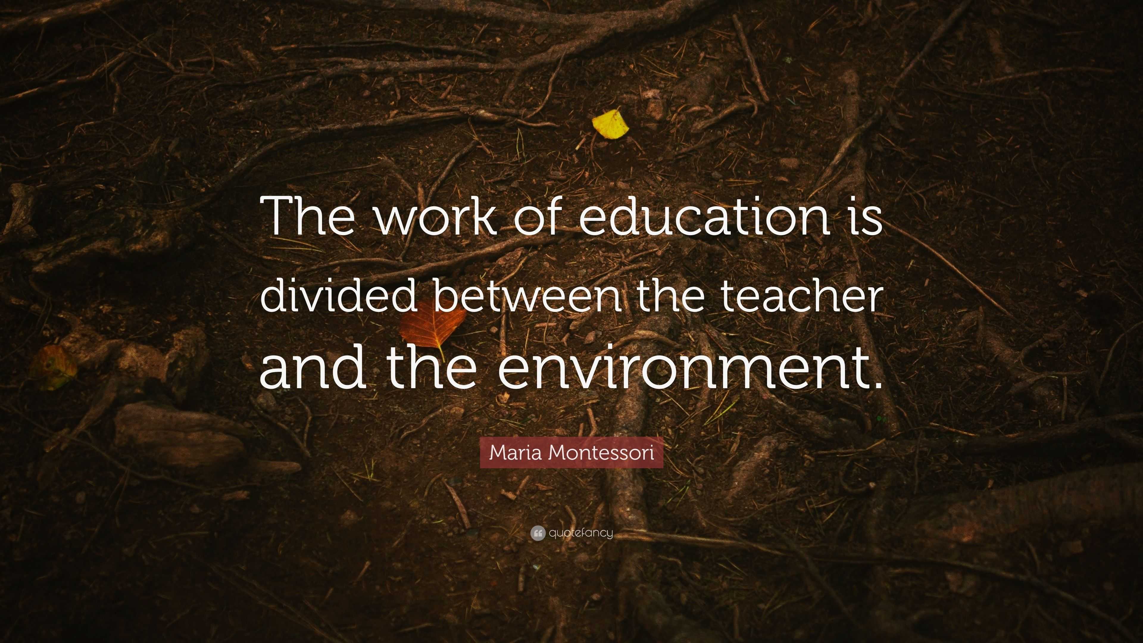 Maria Montessori Quote: “The work of education is divided between the ...