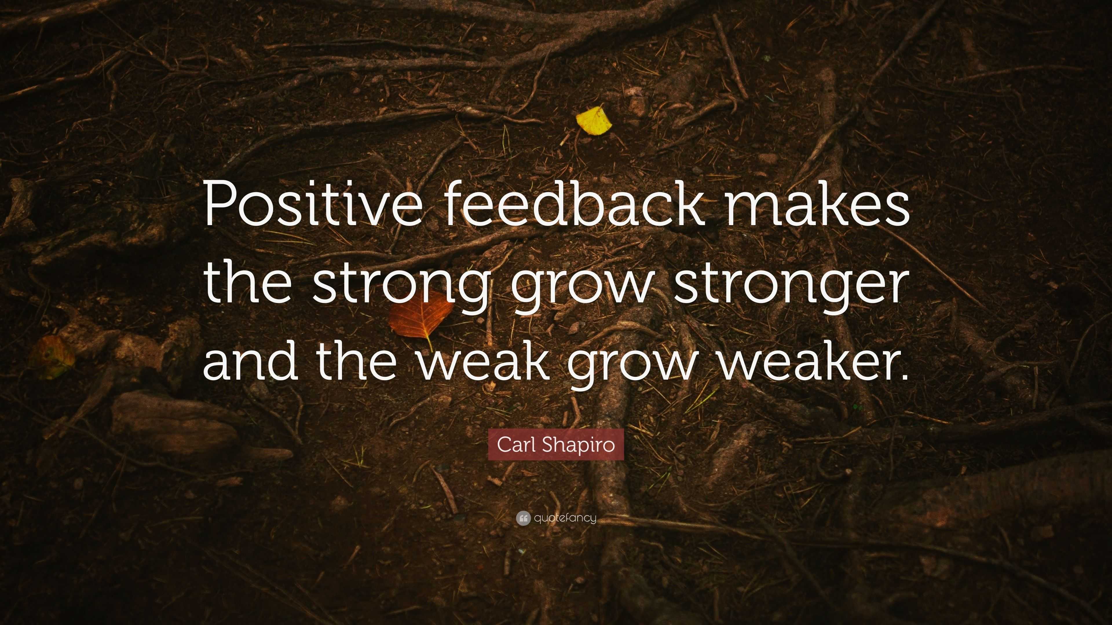 Carl Shapiro Quote: “Positive feedback makes the strong grow stronger