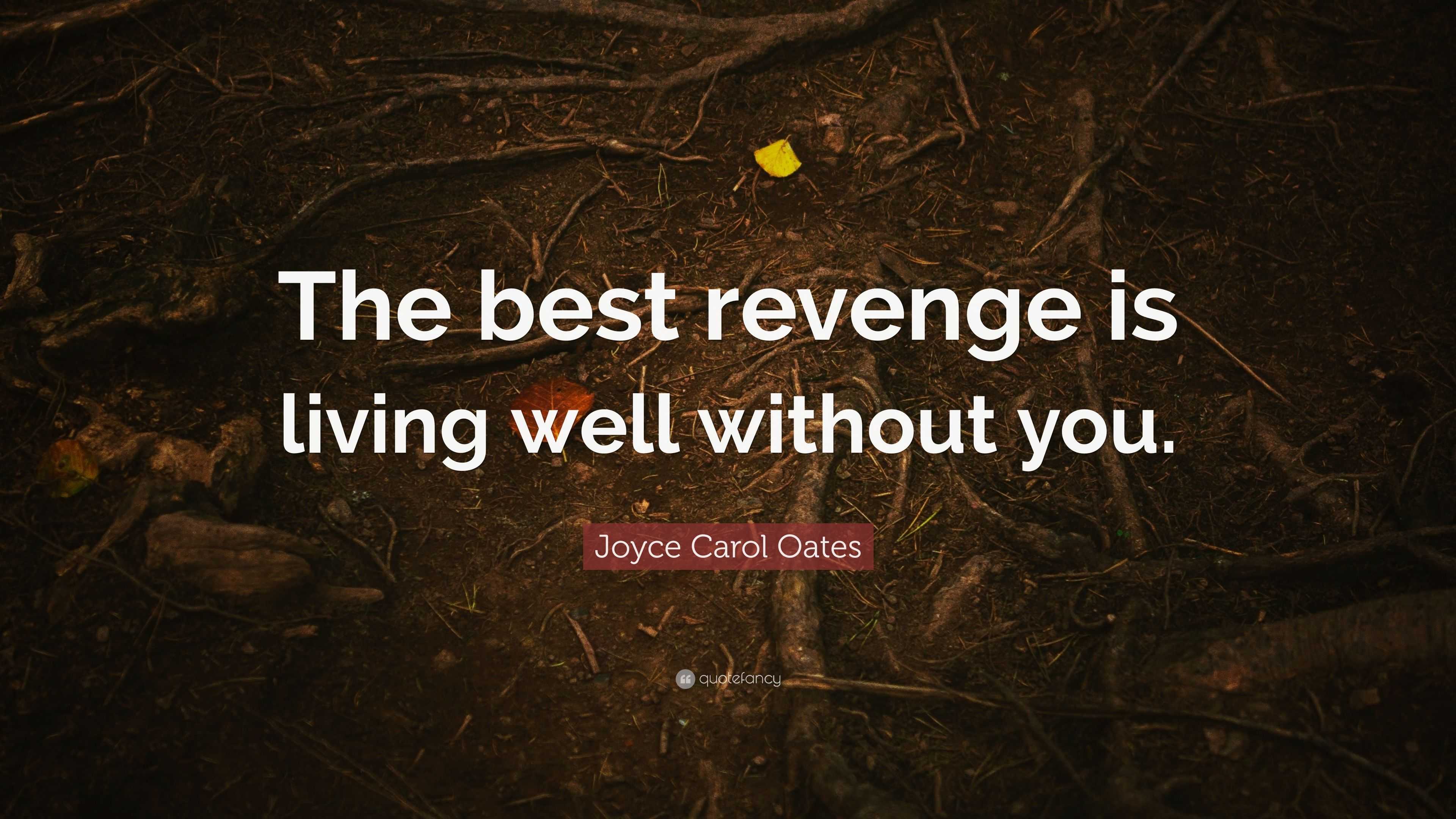 Living Well Is the Best Revenge Review