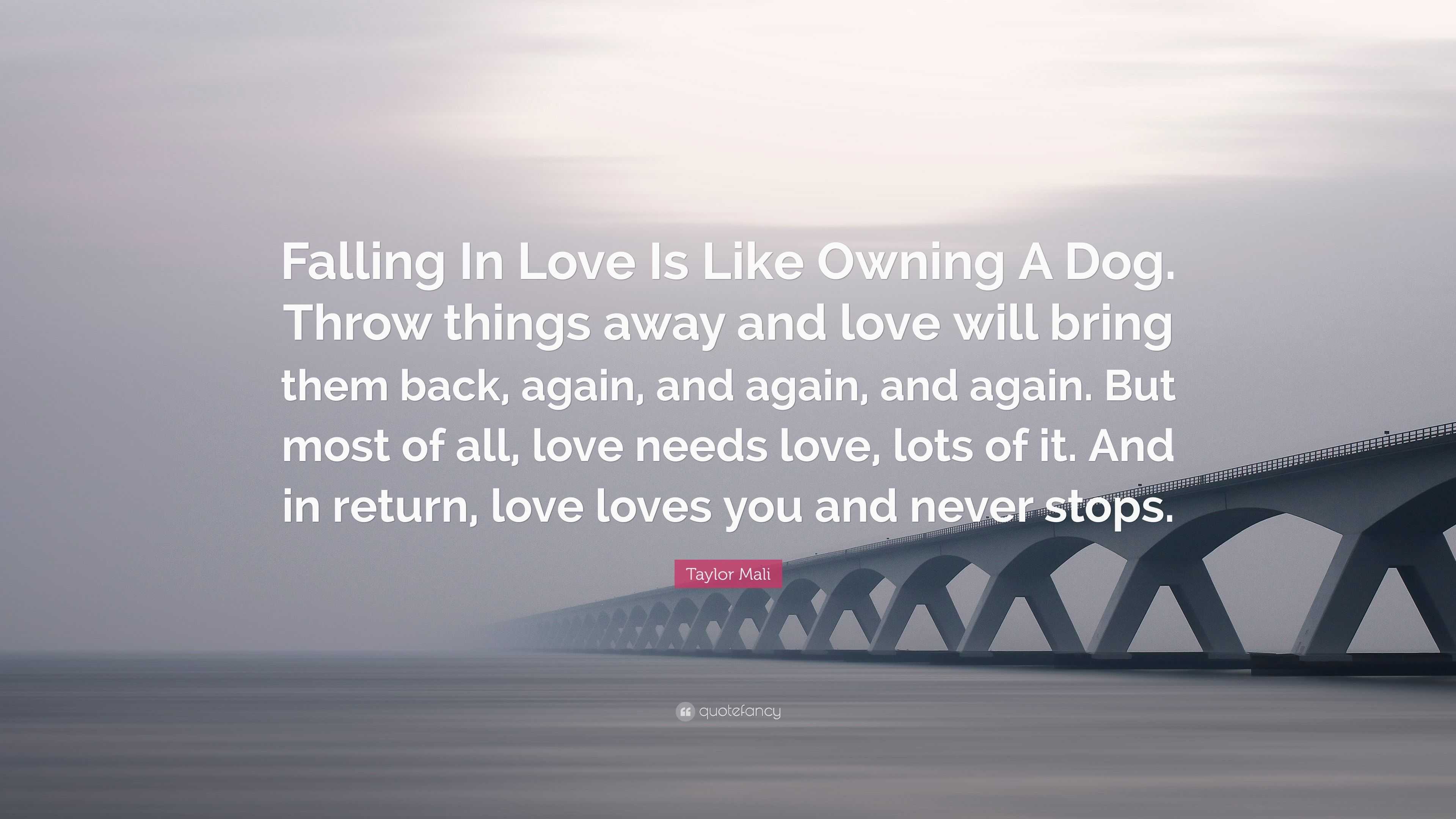 Taylor Mali Quote “Falling In Love Is Like Owning A Dog Throw things