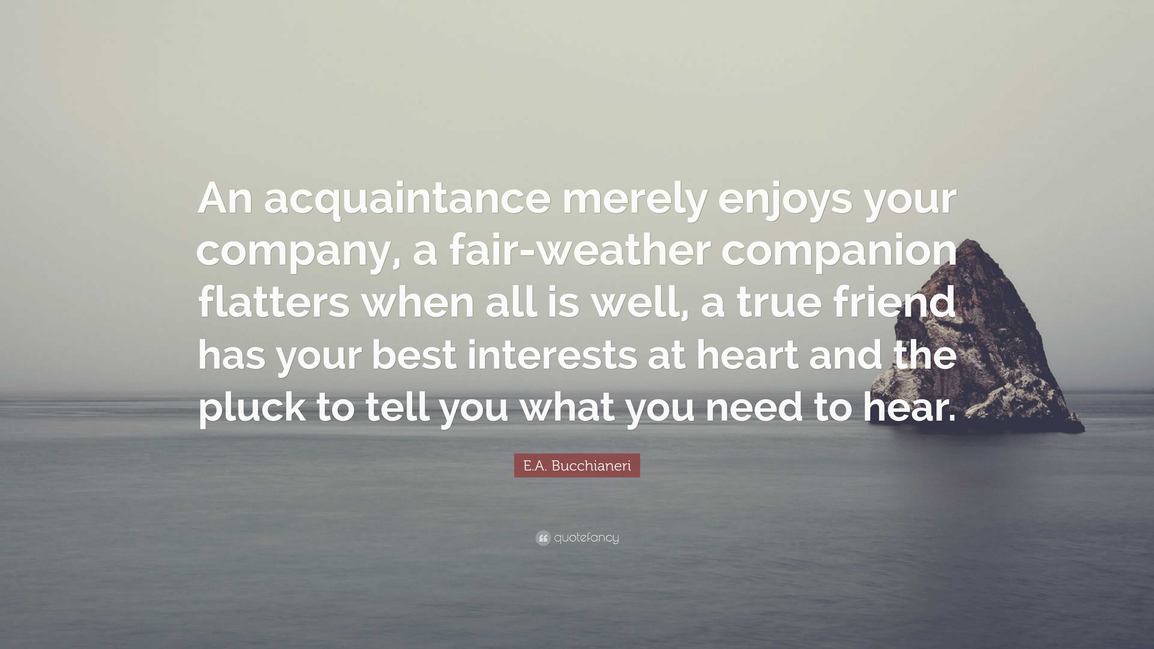 E A Bucchianeri Quote An Acquaintance Merely Enjoys Your Company A Fair Weather Companion Flatters When All Is Well A True Friend Has Your B 9 Wallpapers Quotefancy